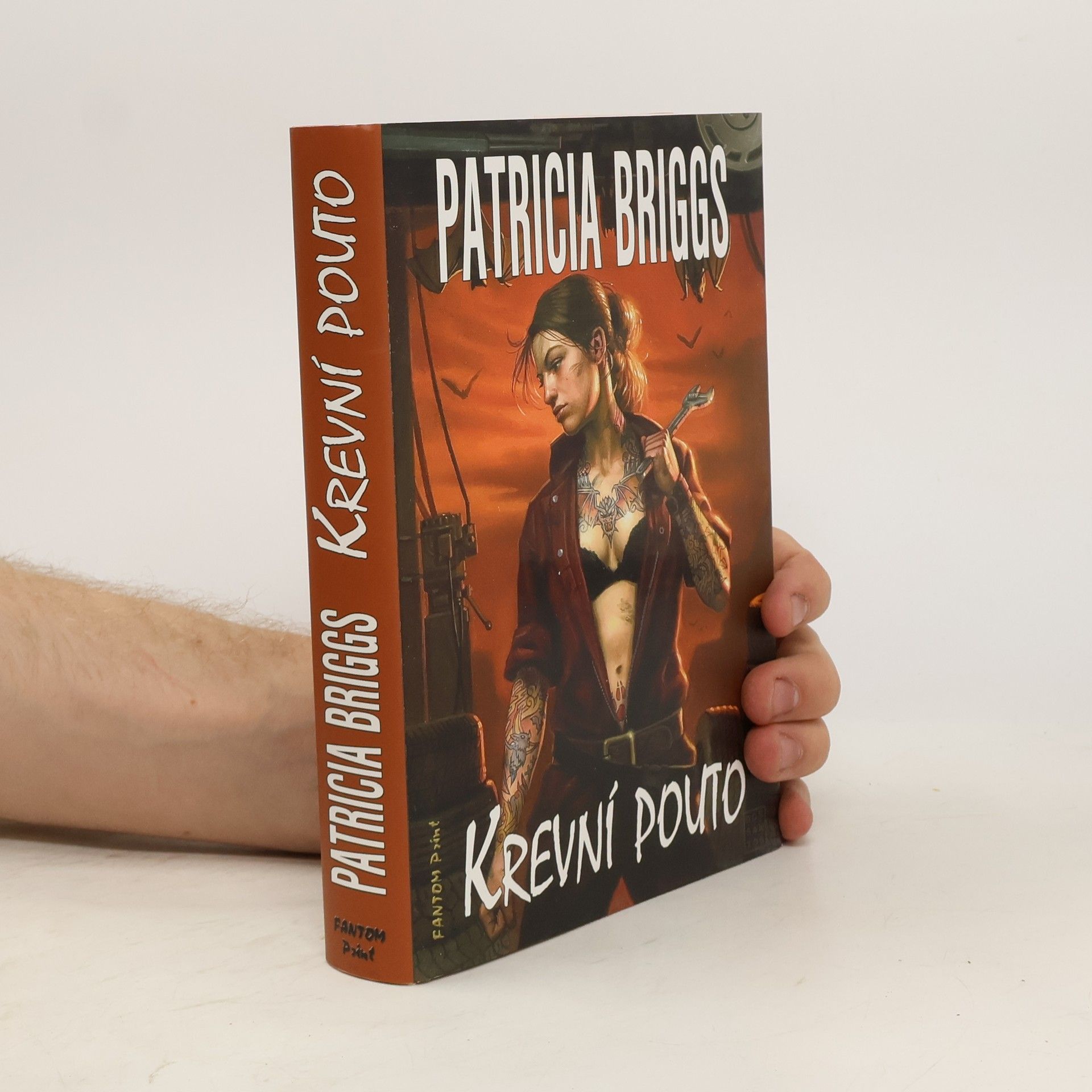 Patricia Briggs Krevní pouto