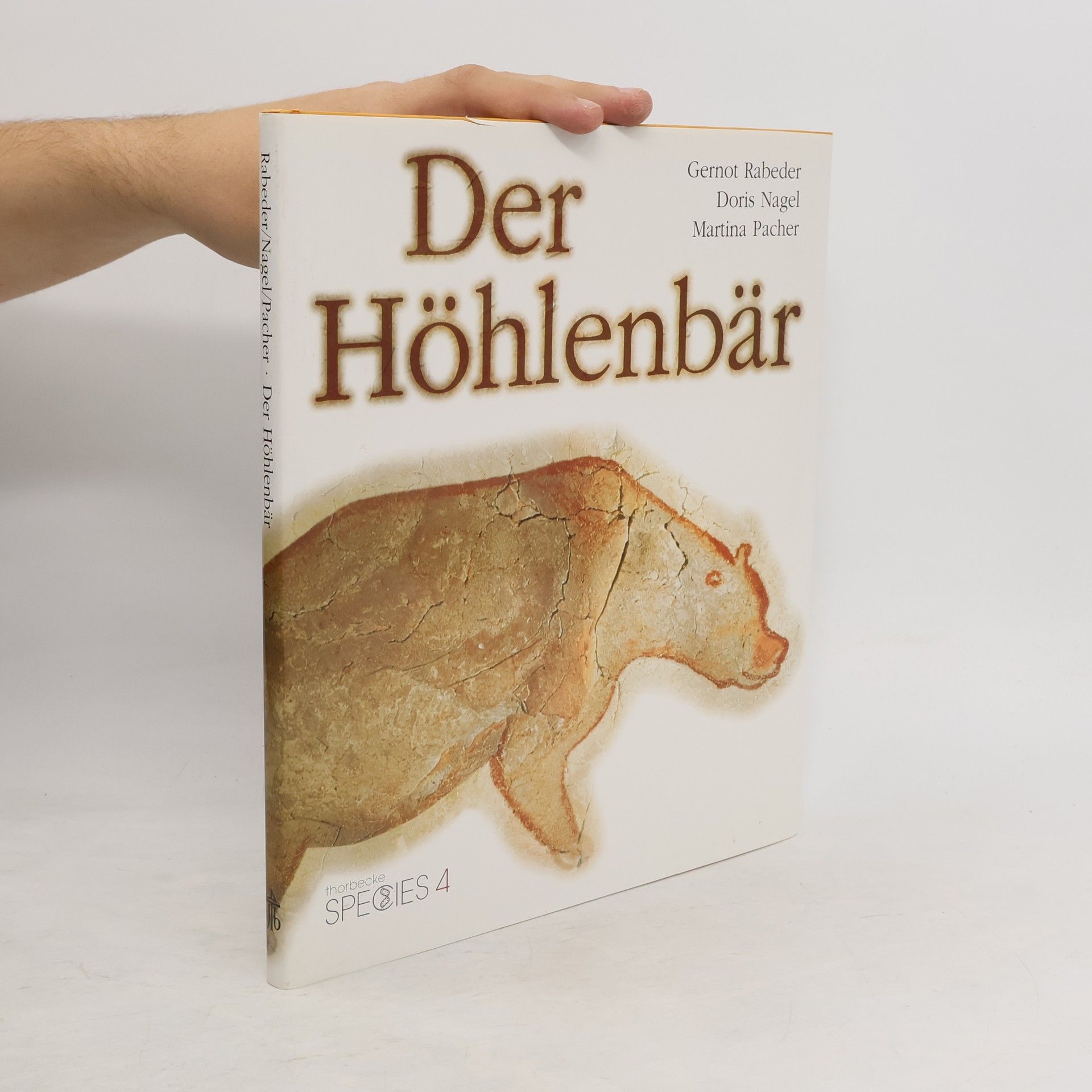Gernot Rabeder Der Höhlenbär