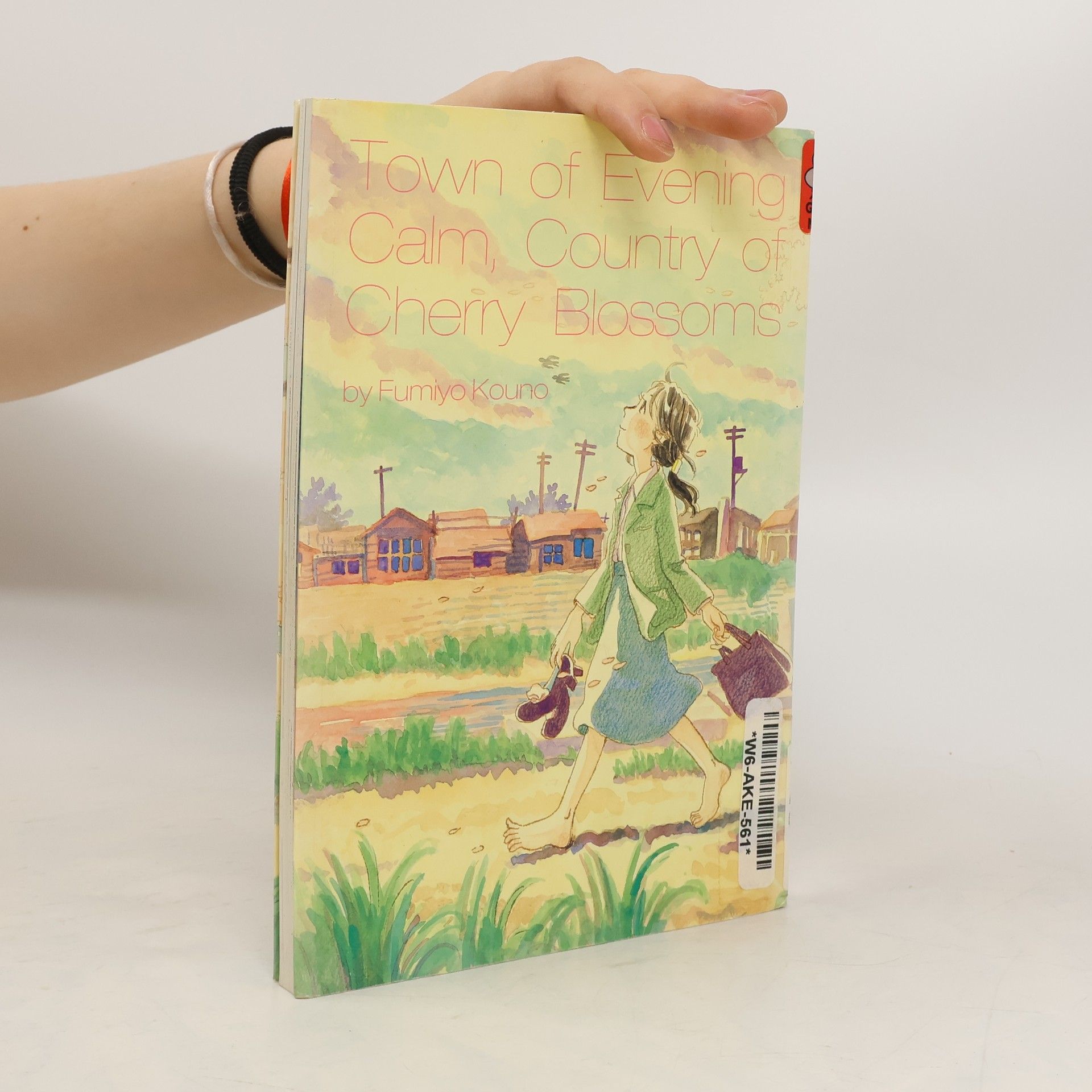 Town of Evening Calm