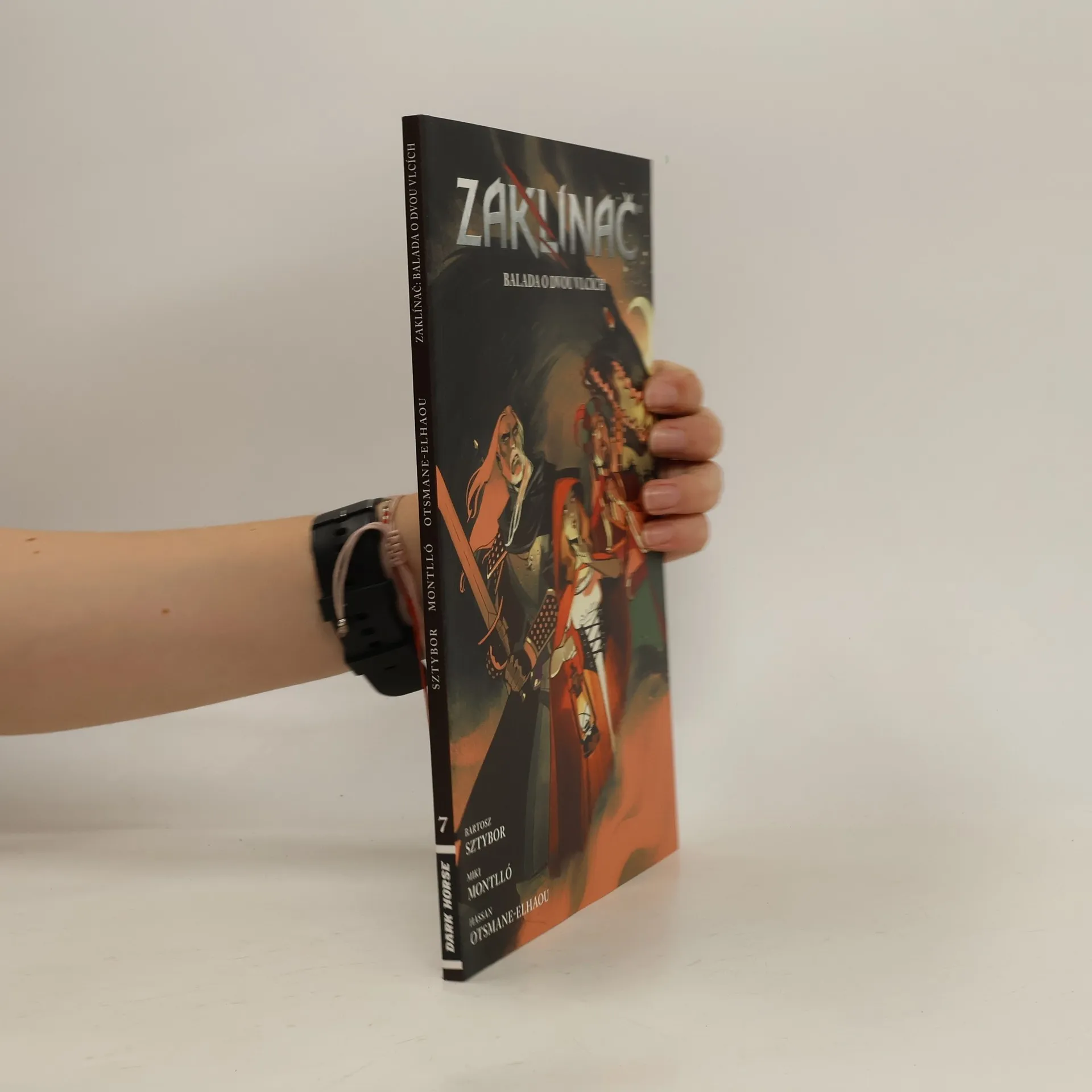 Zaklínač. Balada o dvou vlcích | Kniha | mäkká | Bartosz Sztybor | CS