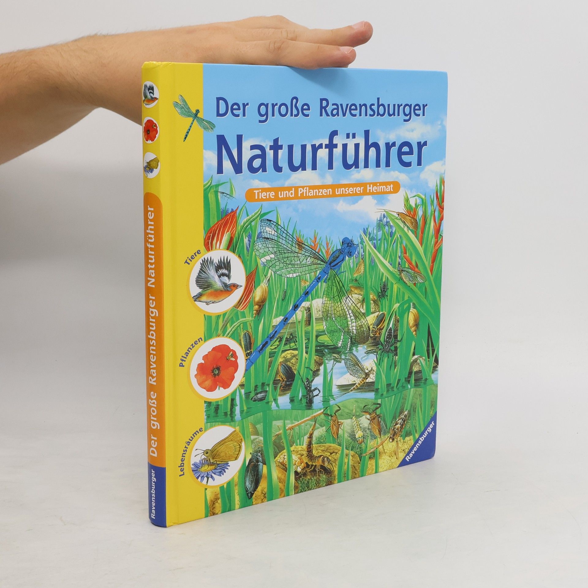 Sabine Zürn Der große Ravensburger Naturführer