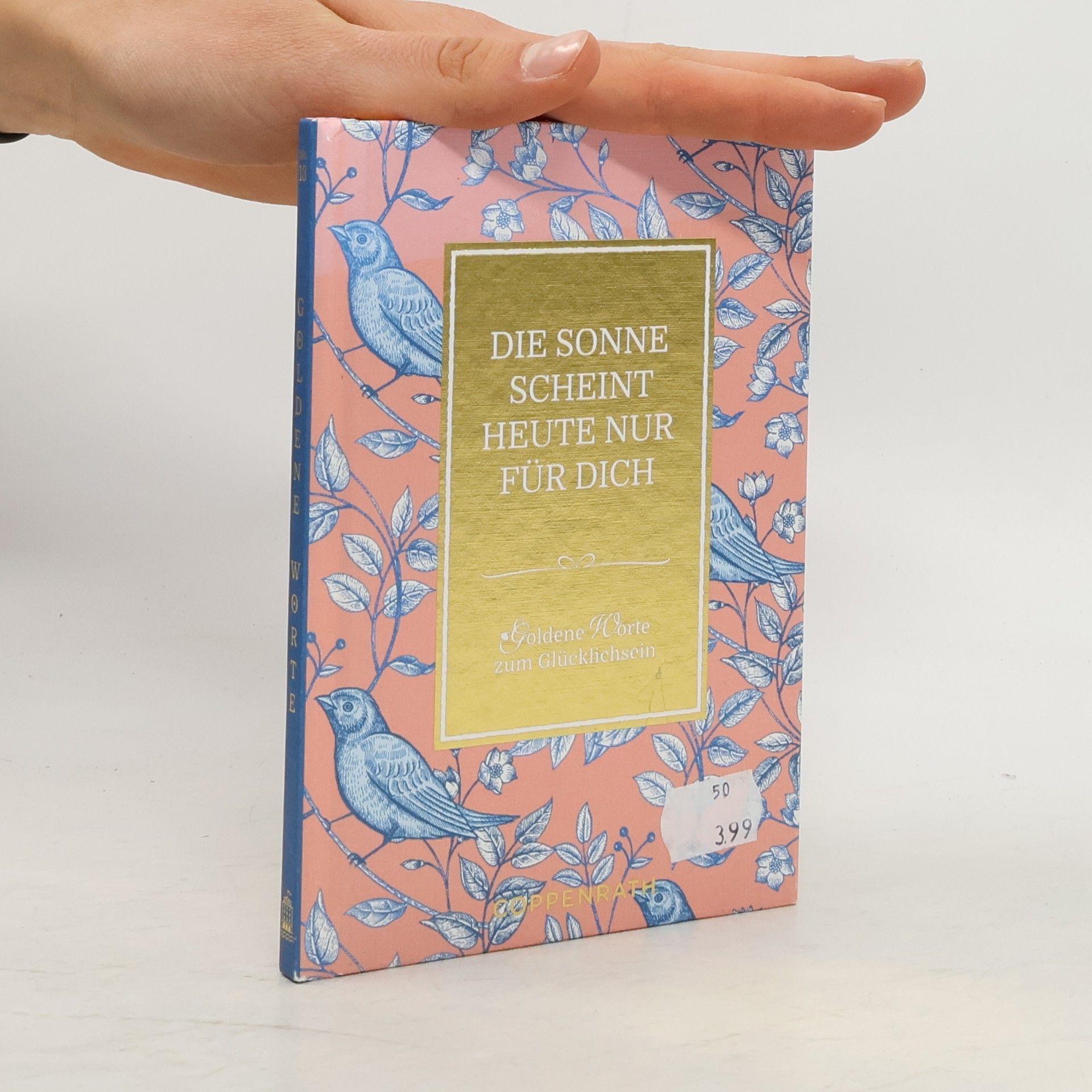 Autorenkollektiv Die Sonne scheint heute nur für dich