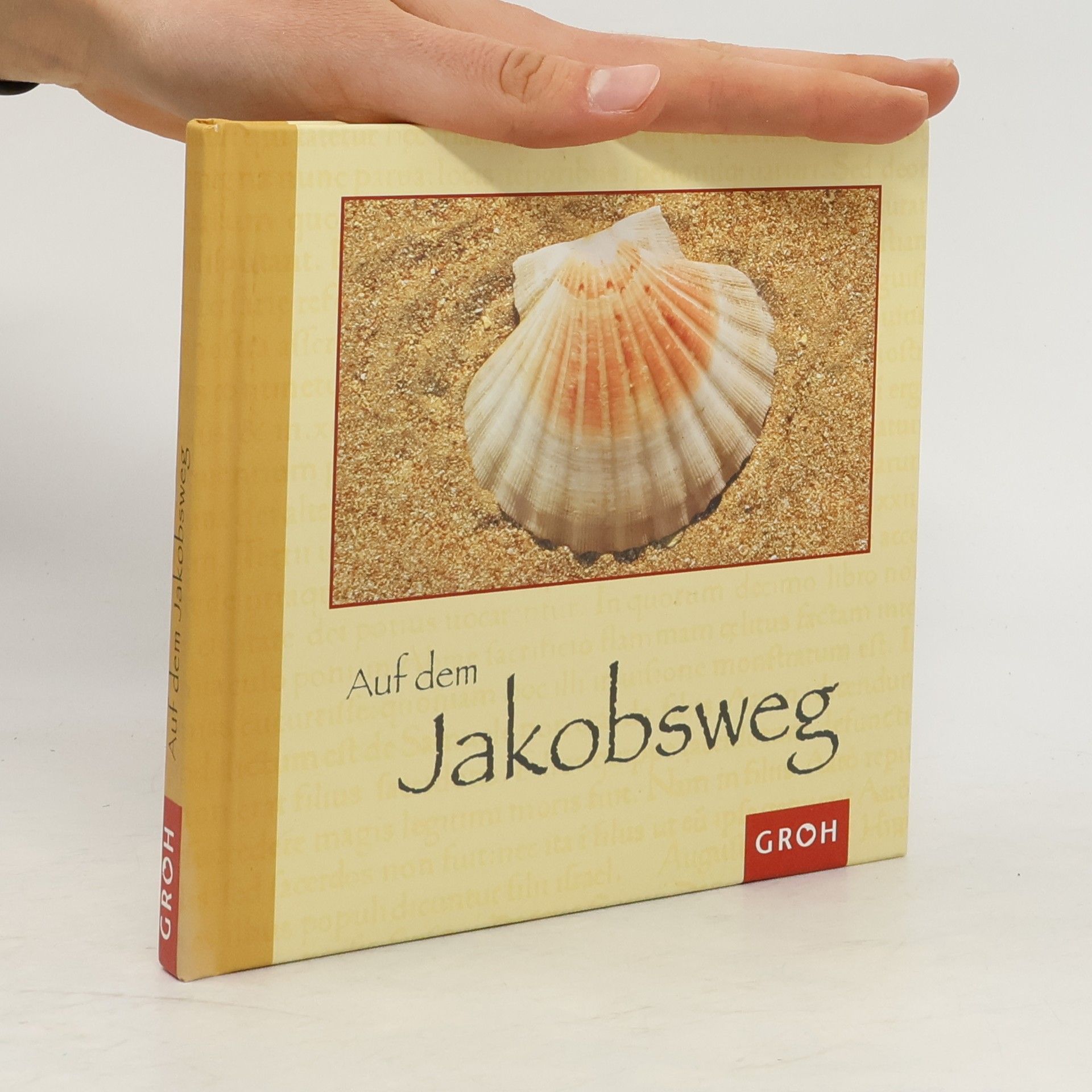 Benedikt Ambacher Auf dem Jakobsweg