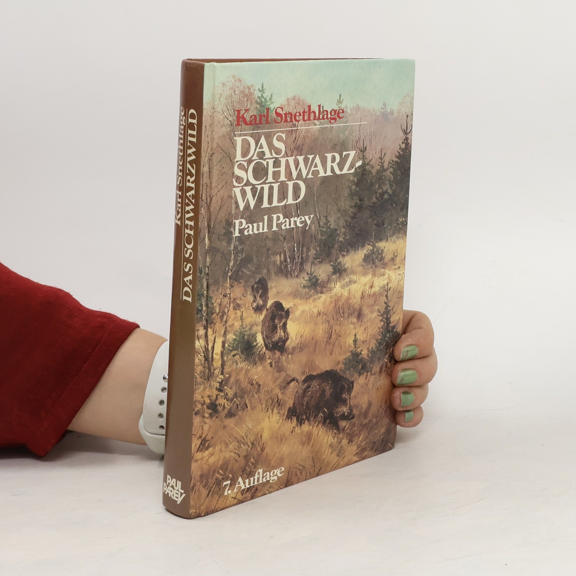 Karl Snethlage Das Schwarzwild