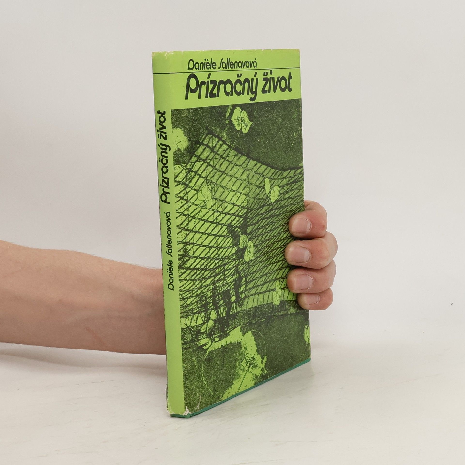 Danièle Sallenave Prízračný život