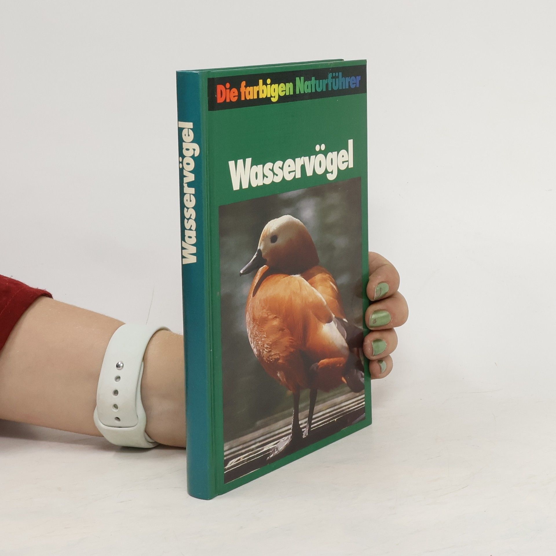 Sauer Frieder Die Farbigen Naturführer. Wasservögel