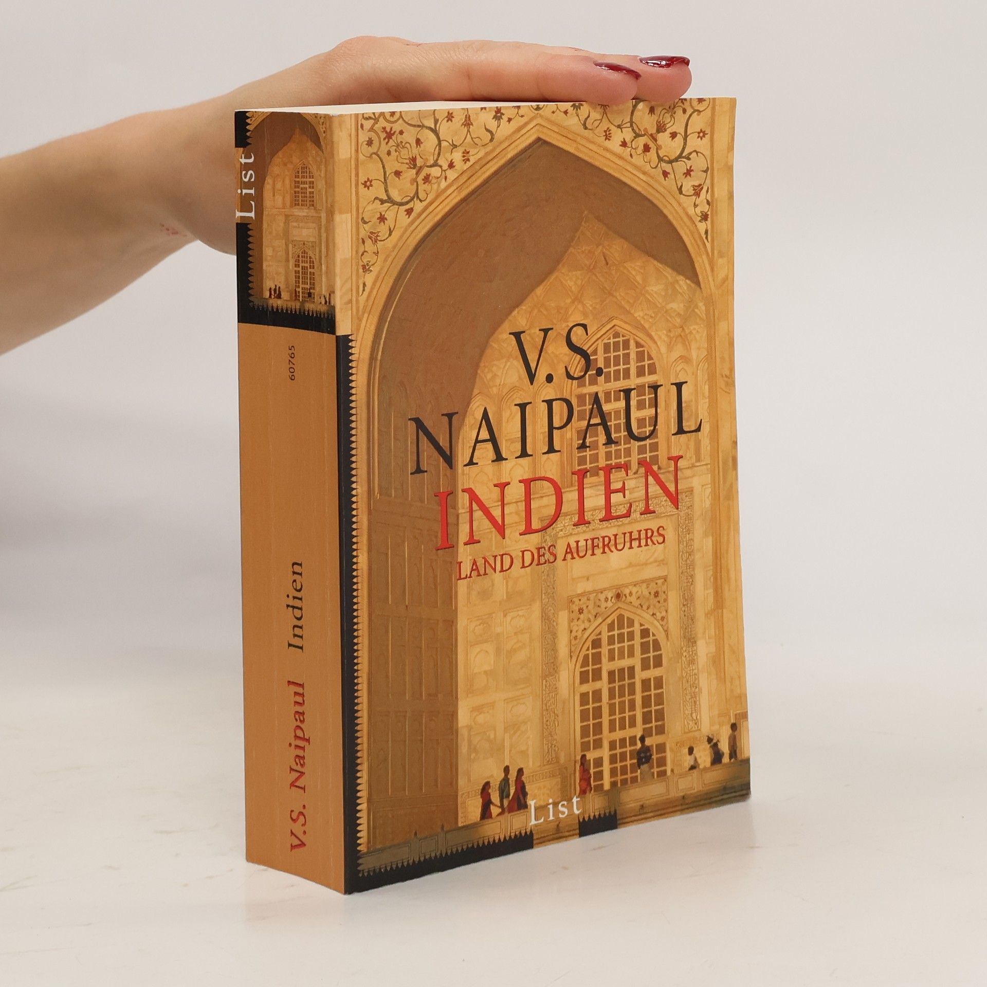 V. S. Naipaul Indien - Land des Aufruhrs
