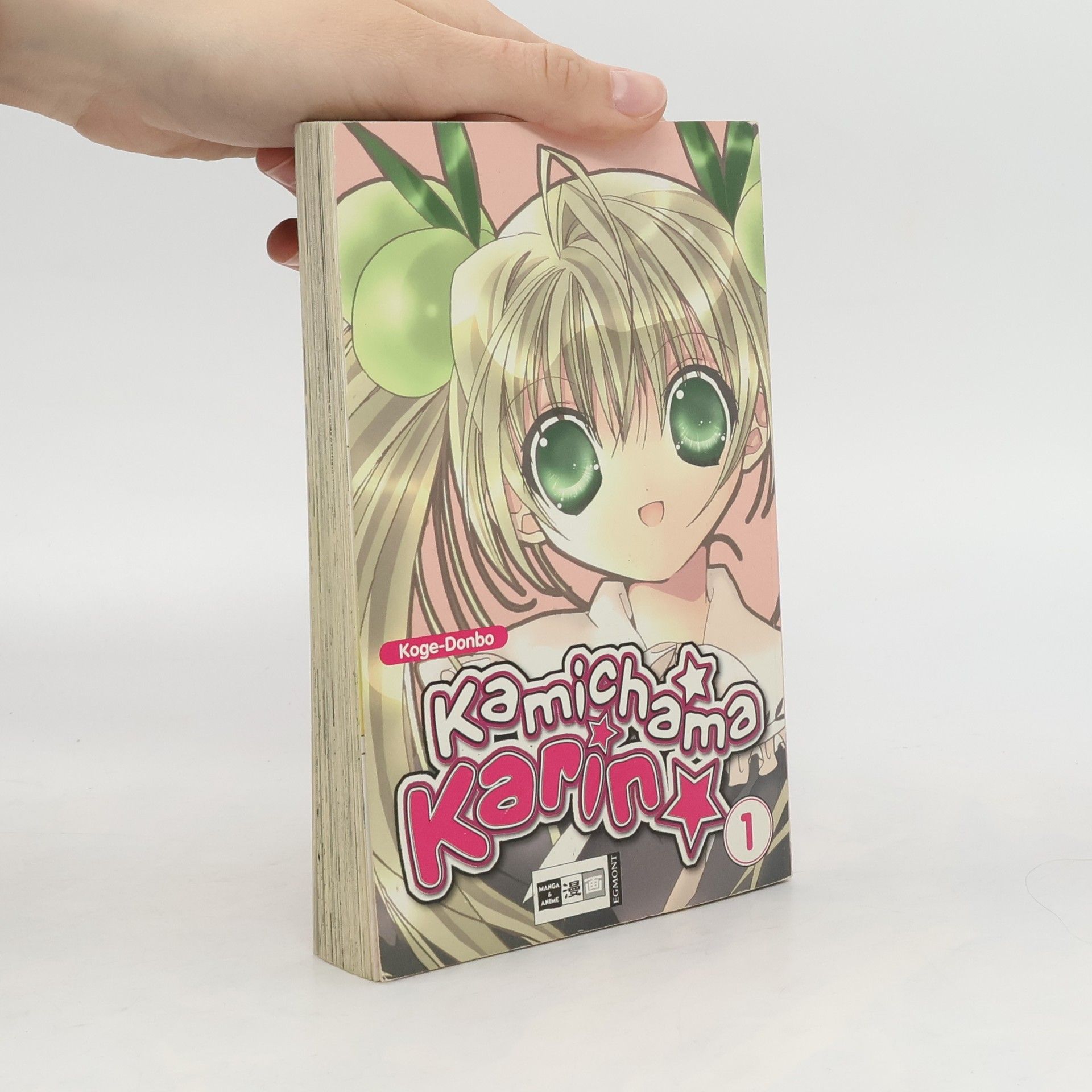 kolektiv Kamichama Karin
