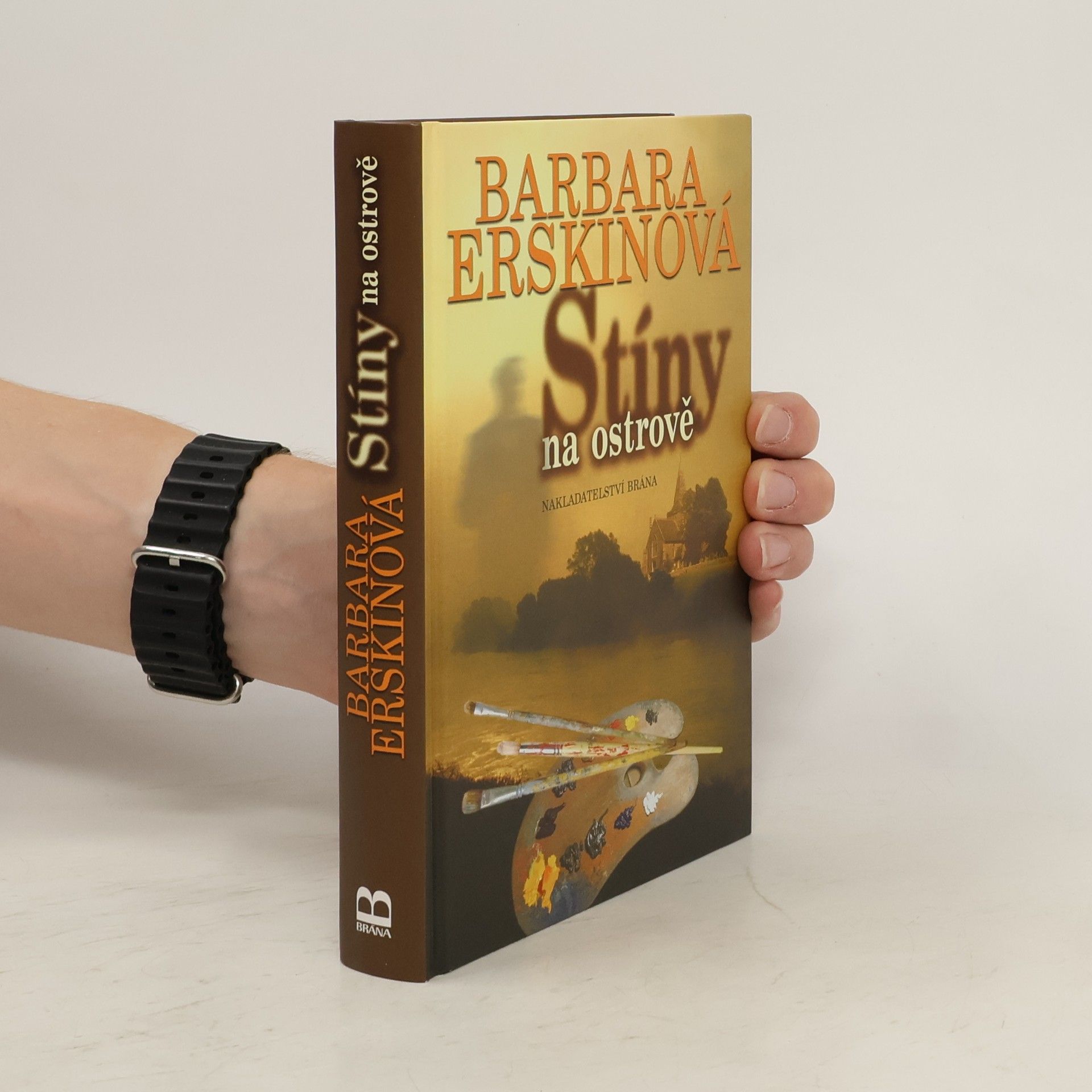 Barbara Erskinová Stíny na ostrově