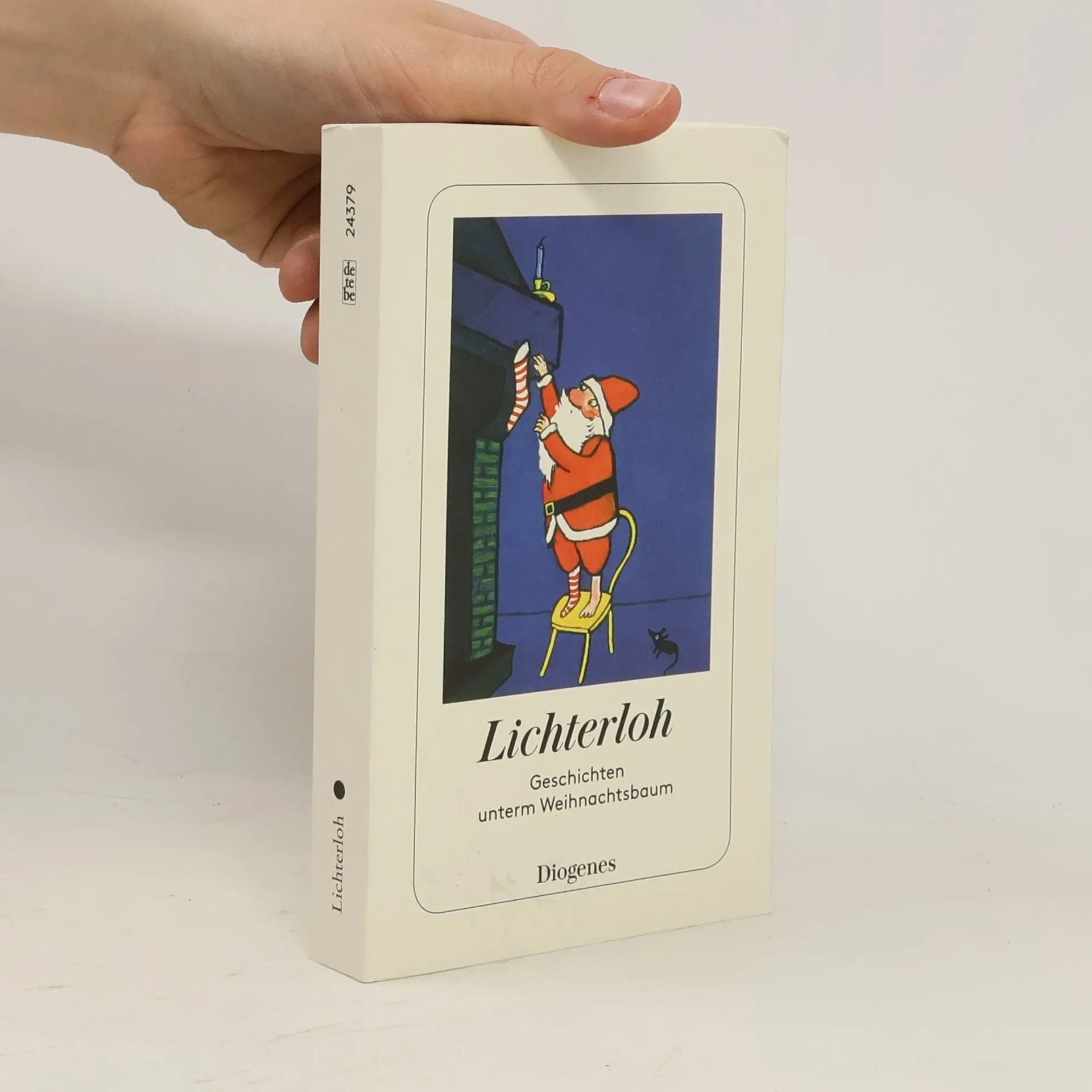 Lichterloh | Book | Kati Hertzsch | DE
