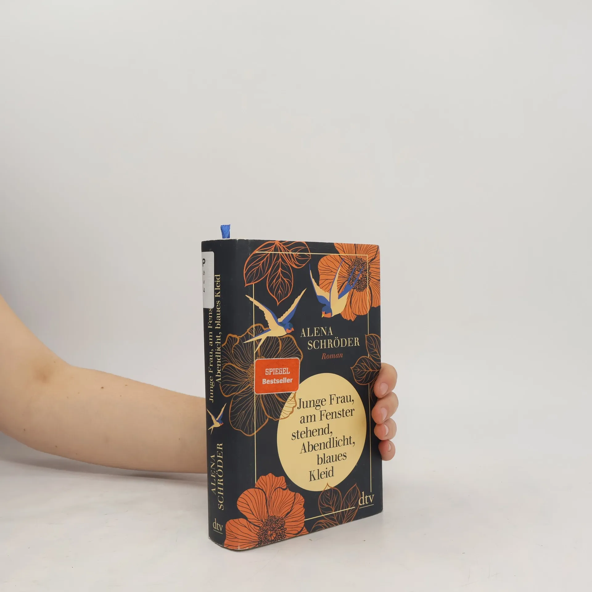 Junge Frau, am Fenster stehend, Abendlicht, blaues Kleid | Book | Hardcover | Alena Schröder | DE