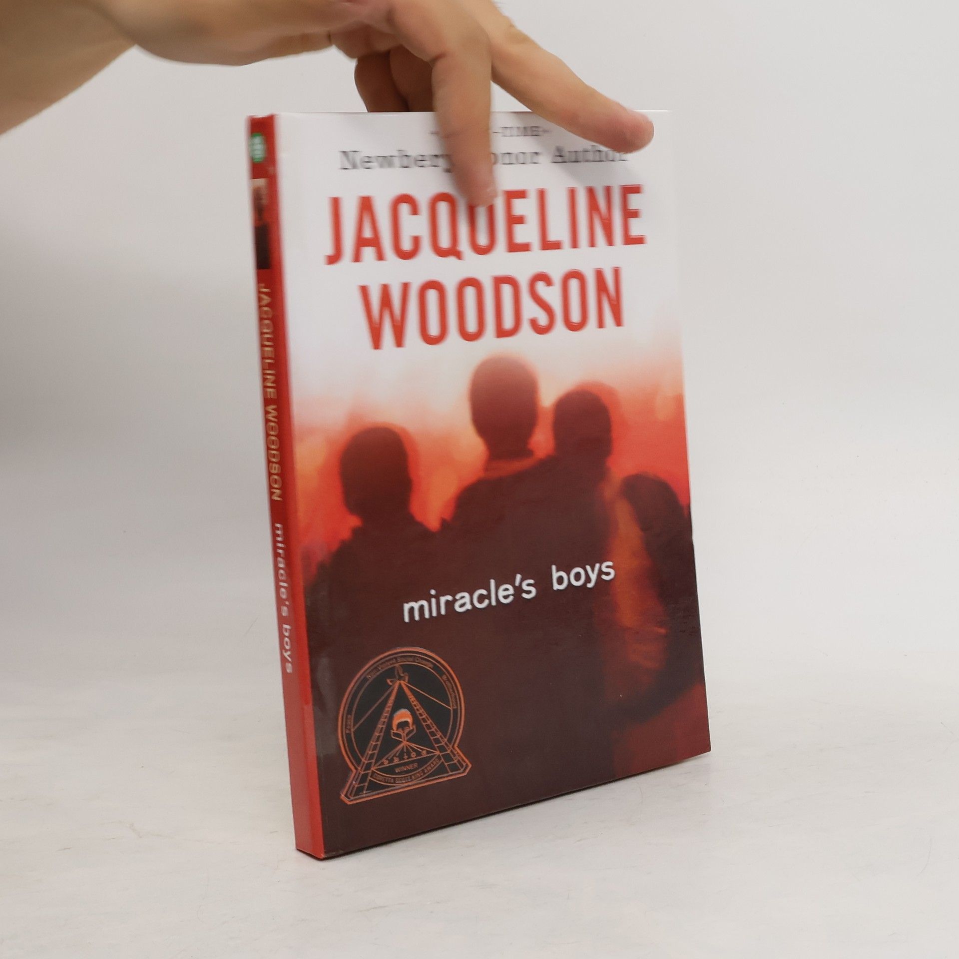 Jacqueline Woodson Miracle's Boys