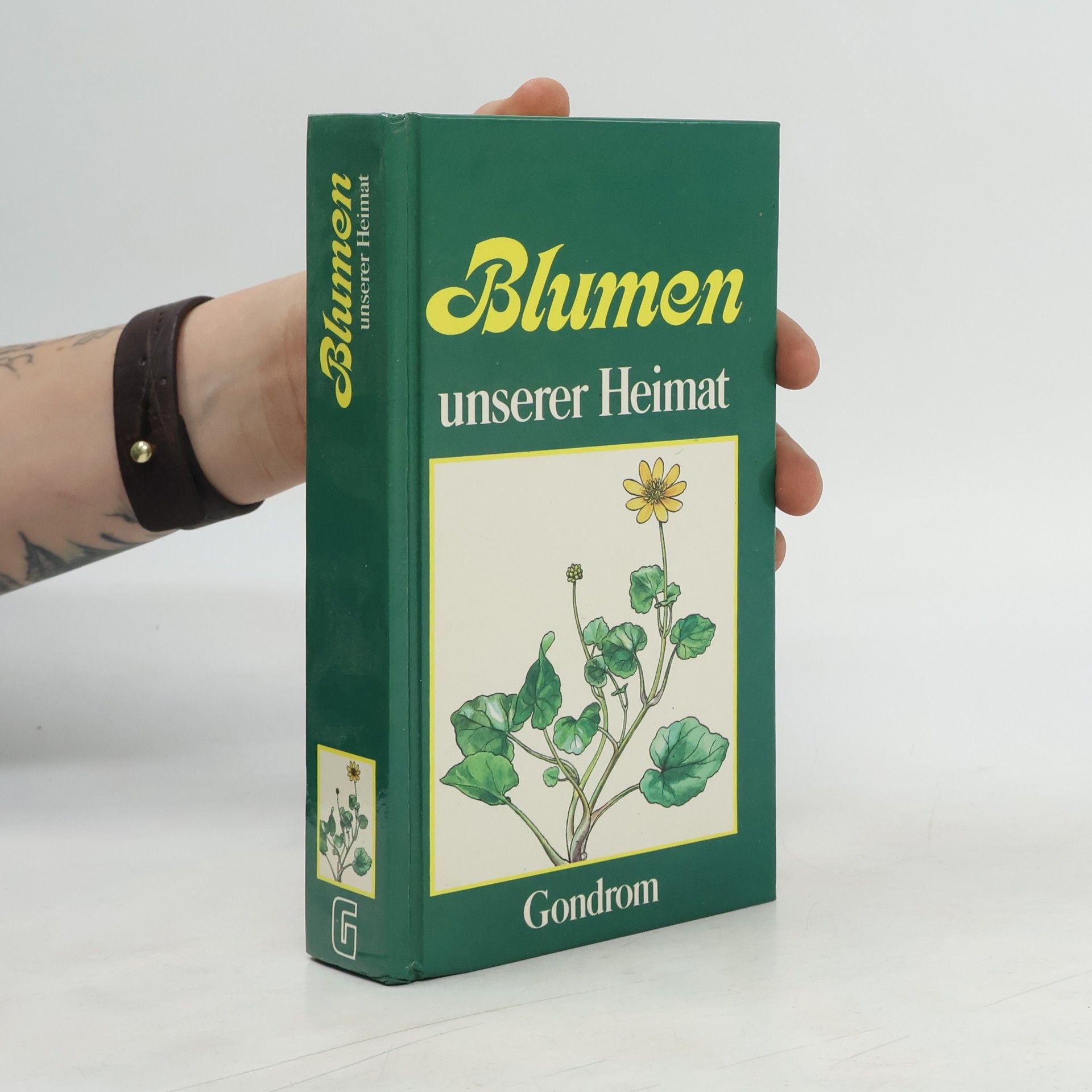 Elisabeth Möltgen Blumen unserer Heimat
