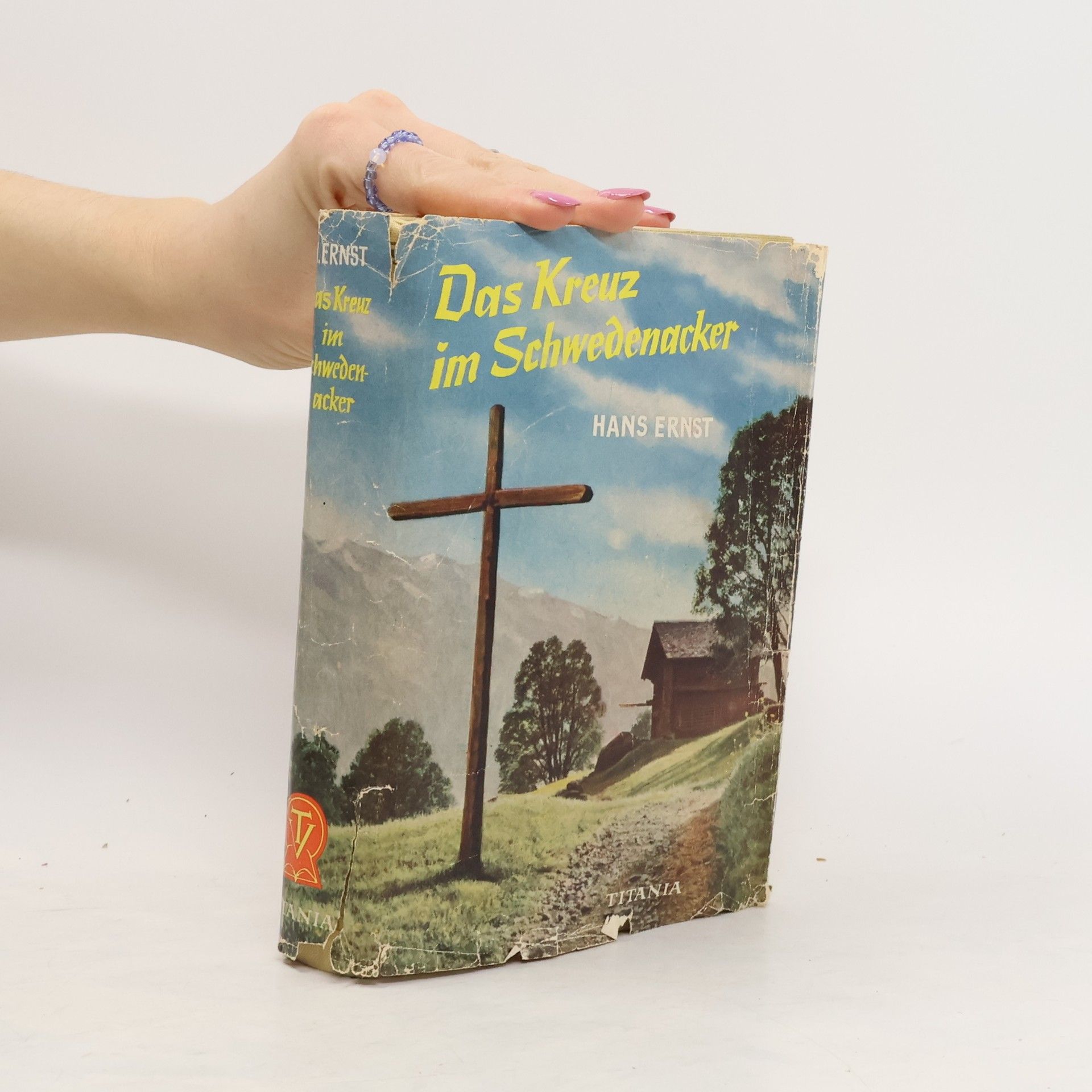 Hans Ernst Das Kreuz im Schwedenacker