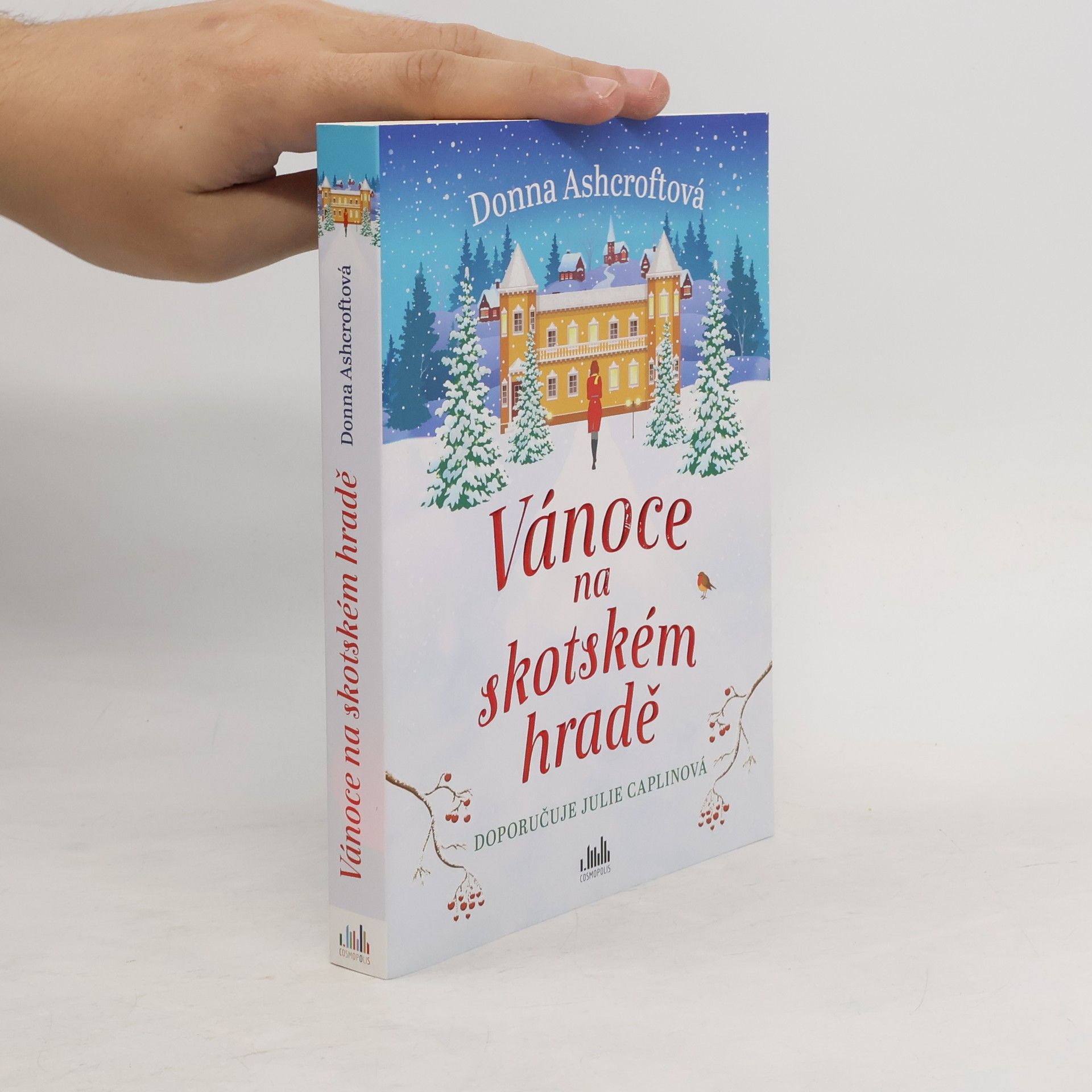 Donna Ashcroft Vánoce na skotském hradě