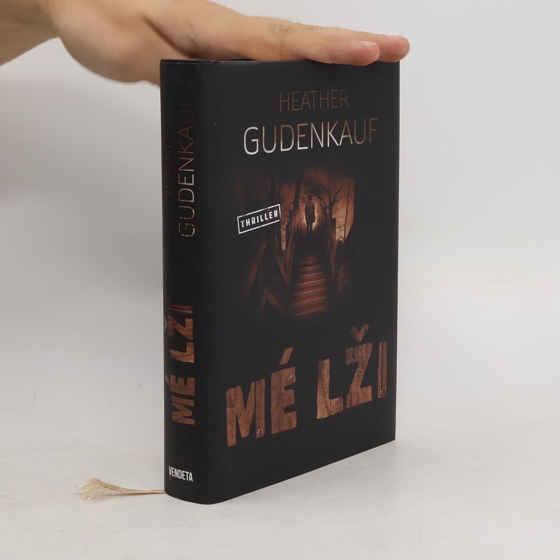 Heather Gudenkauf Mé lži