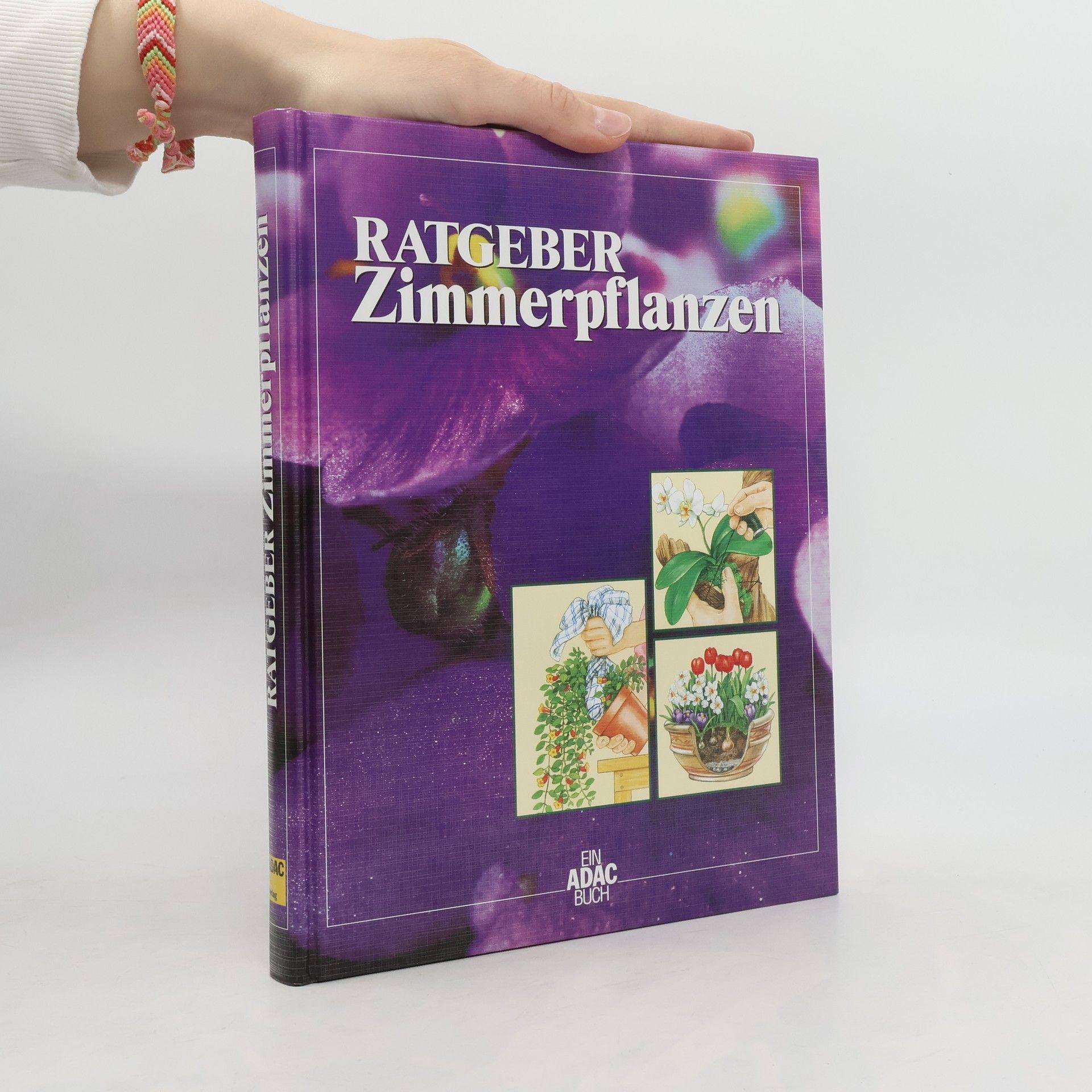 Karin Greiner Ratgeber Zimmerpflanzen