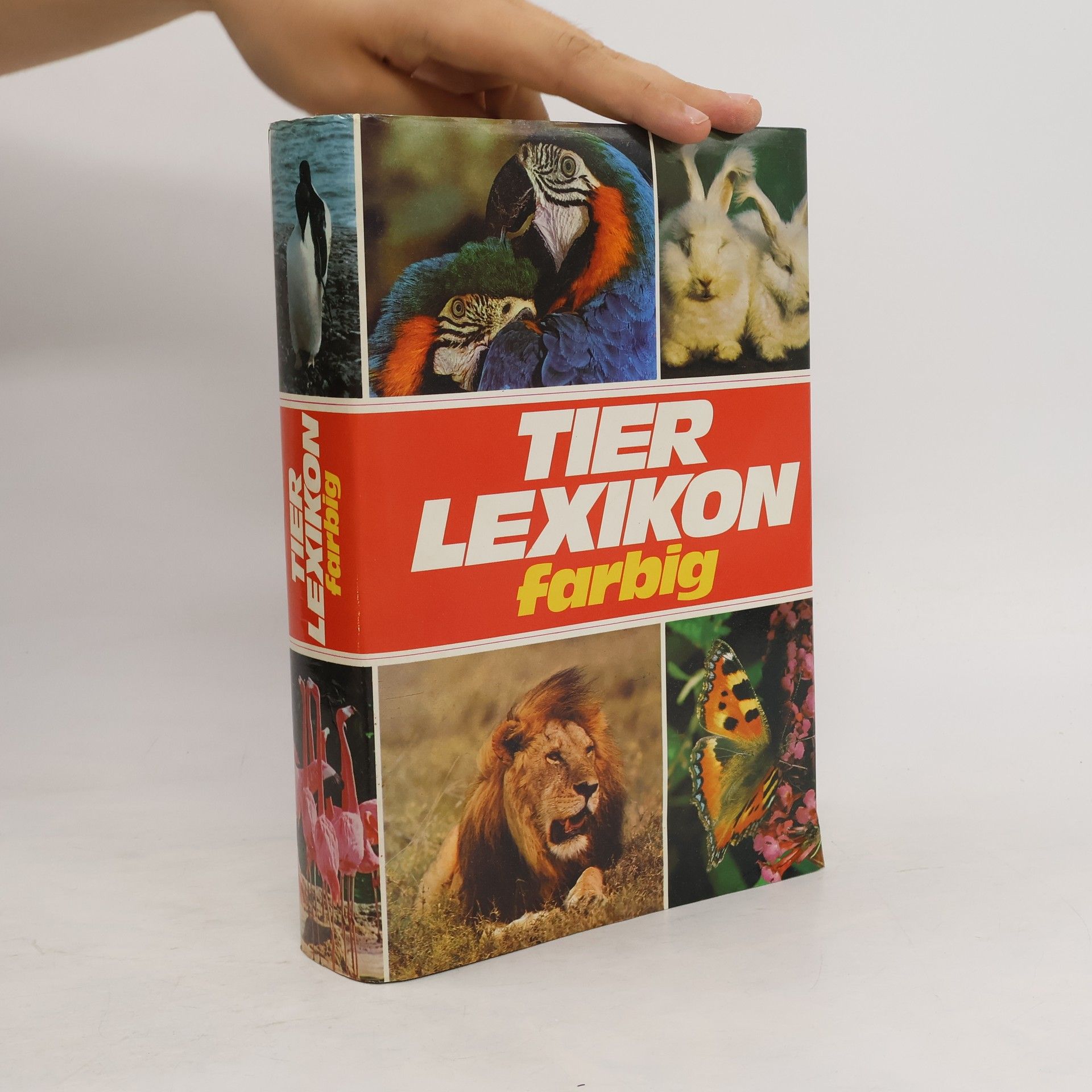 Autorenkollektiv Tier Lexikon Farbig