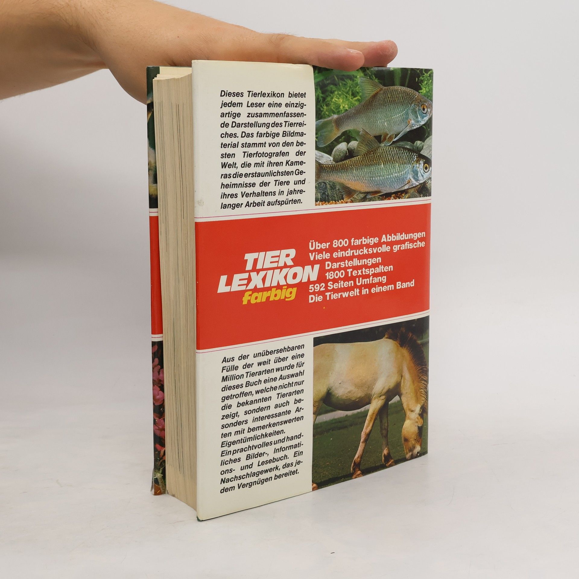 Autorenkollektiv Tier Lexikon Farbig