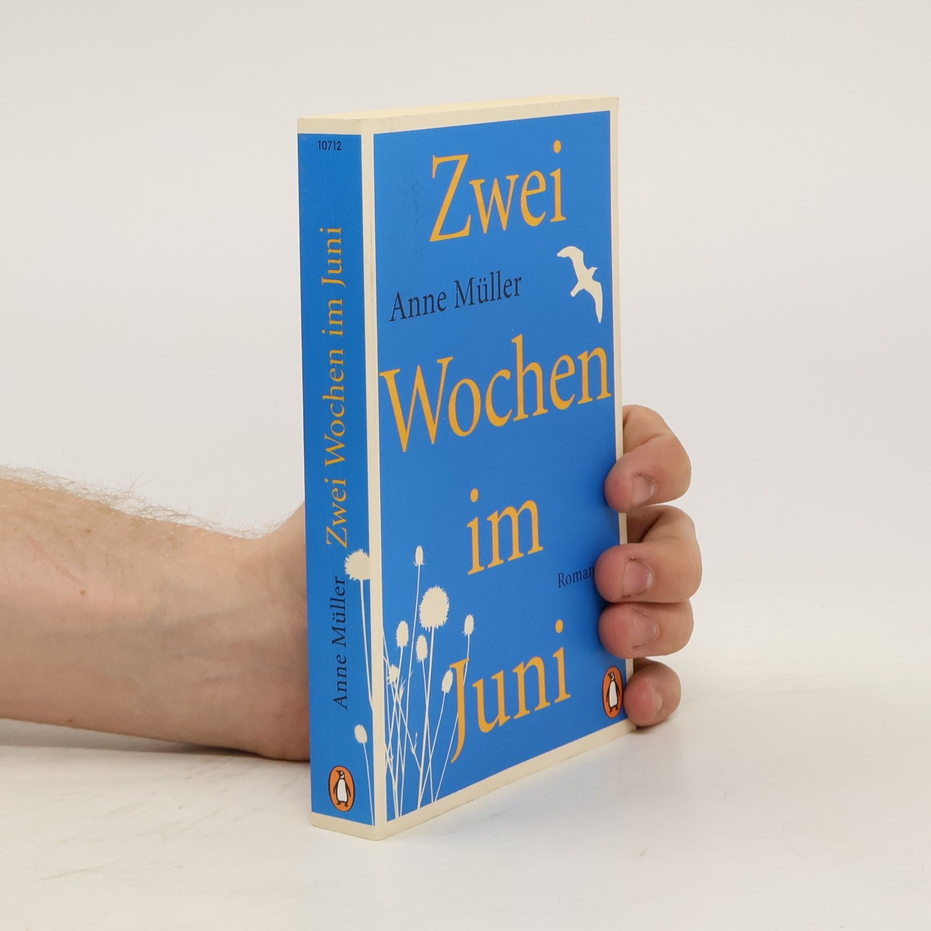 Anne Müller Zwei Wochen im Juni