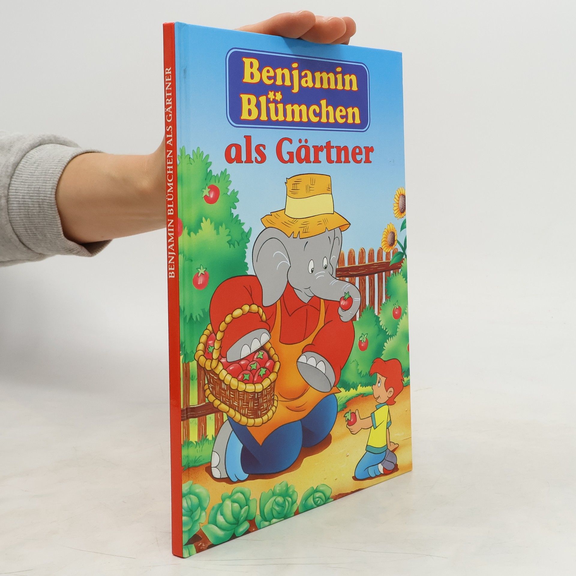 Elfie Donnelly Benjamin Blümchen und die Schule