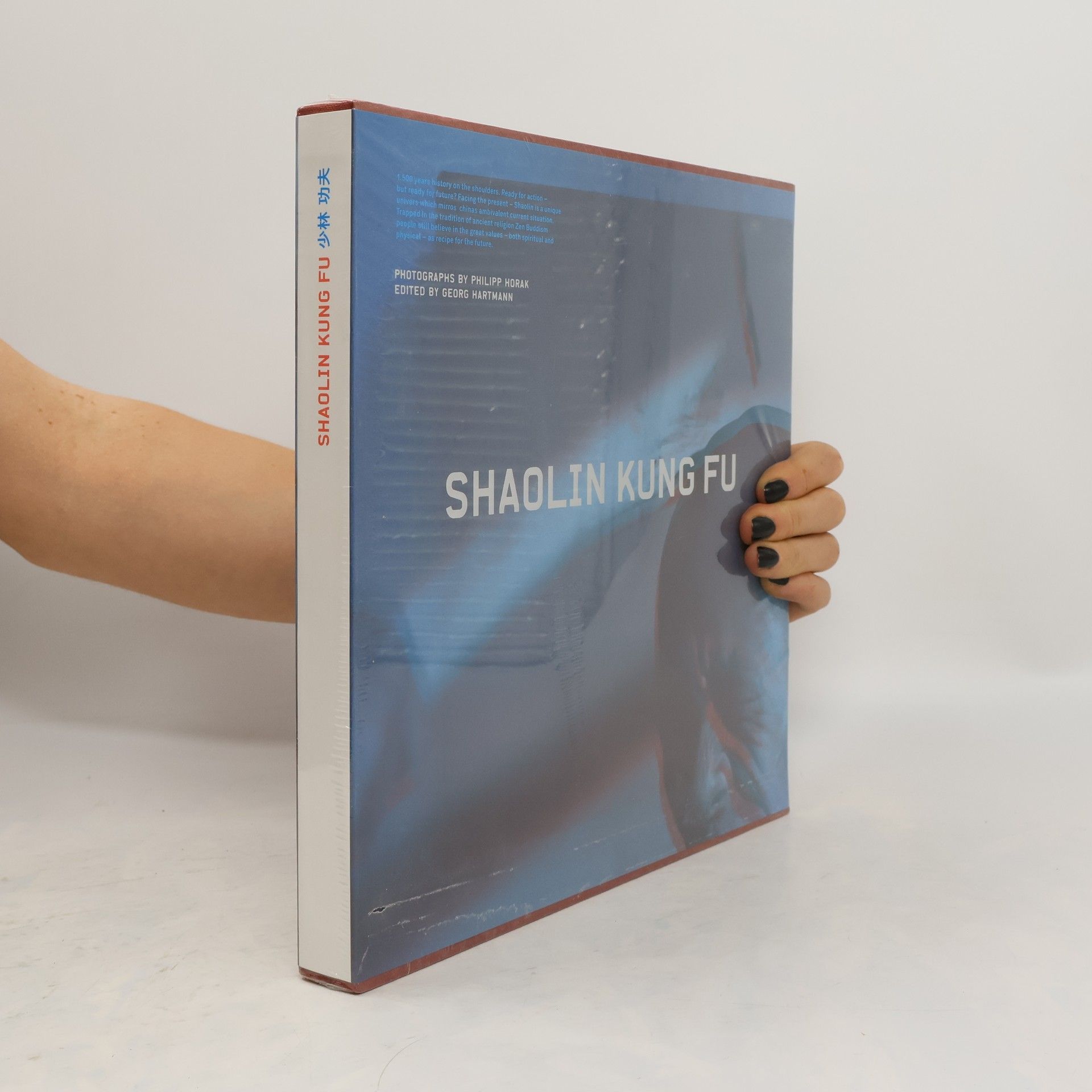 Philipp Horak 少林功夫. Shaolin Kung Fu