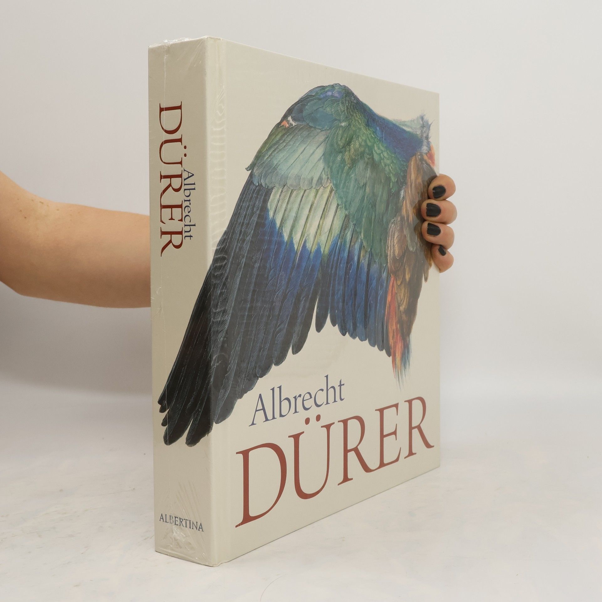 kolektiv Albrecht Dürer