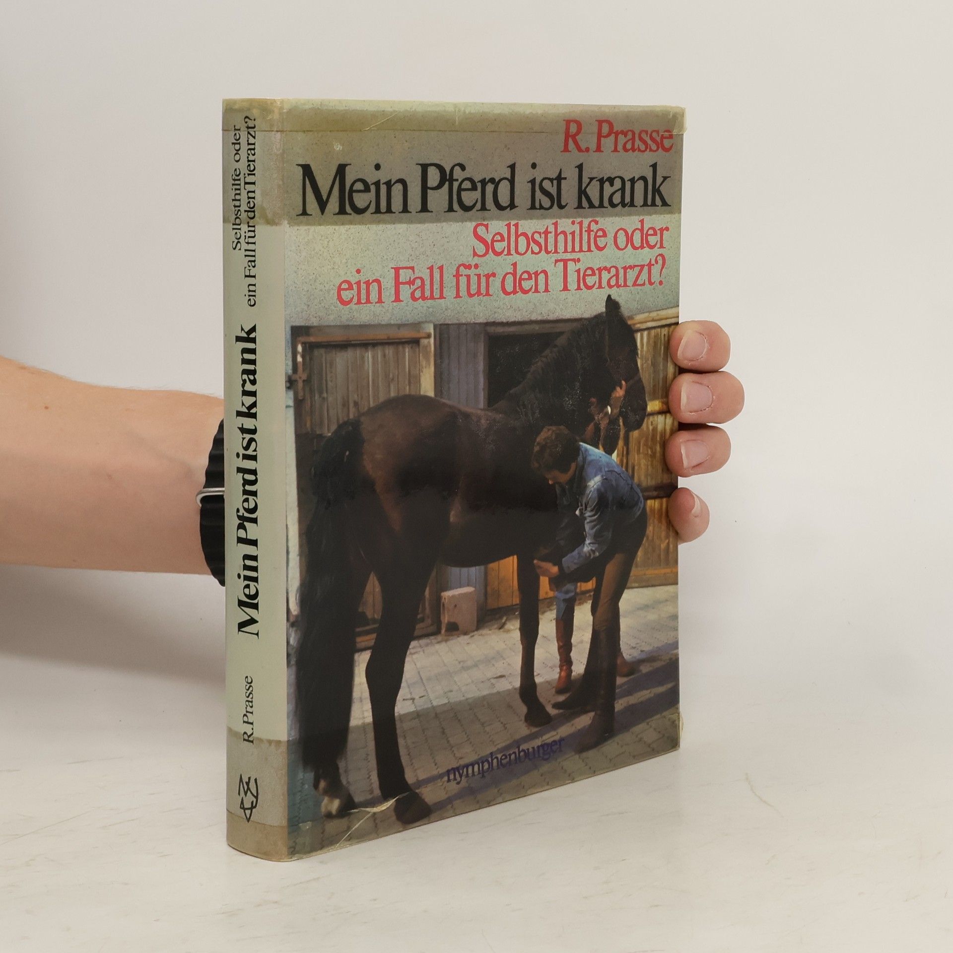 Rudi Prasse Mein Pferd ist krank