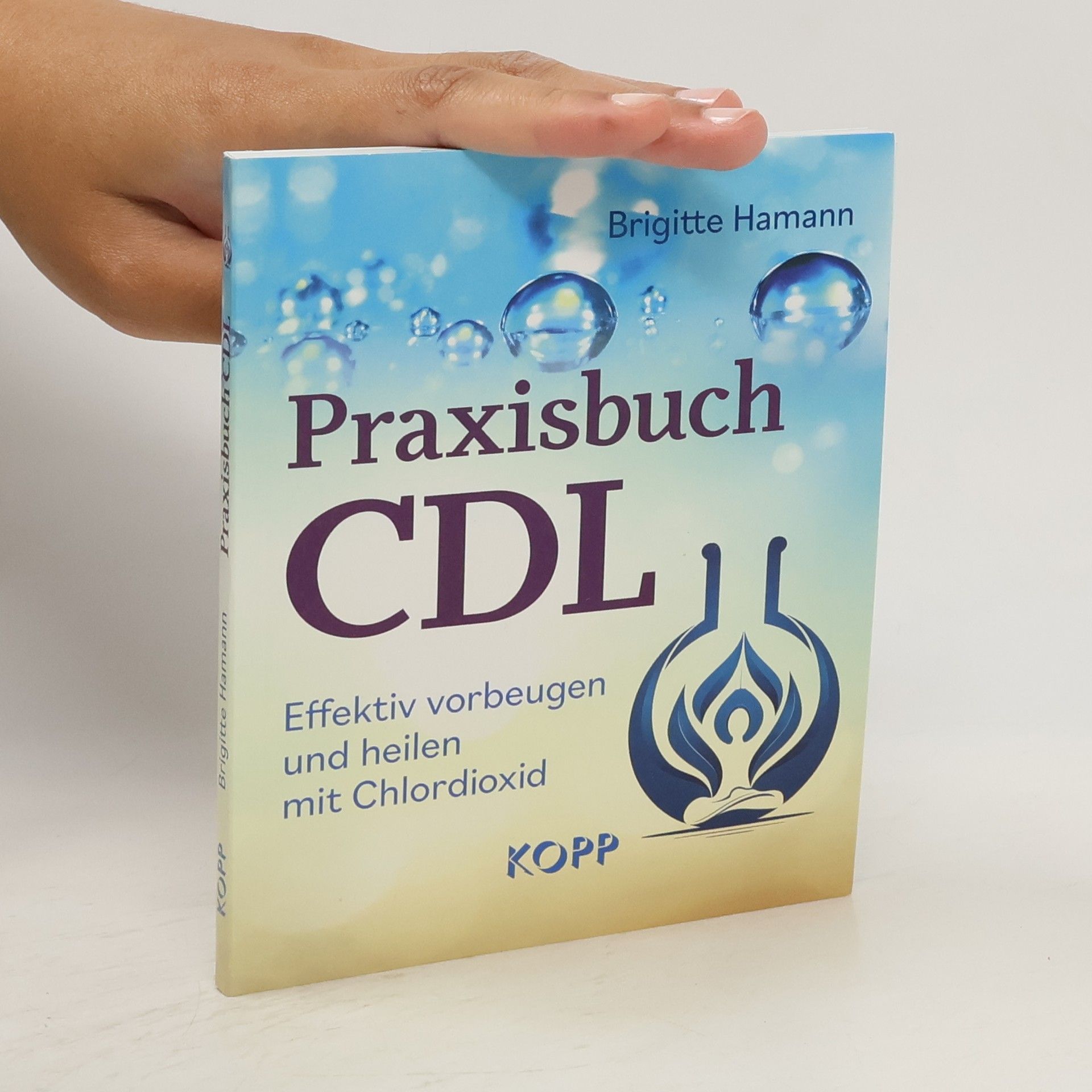 Brigitte Hamann Praxisbuch CDL