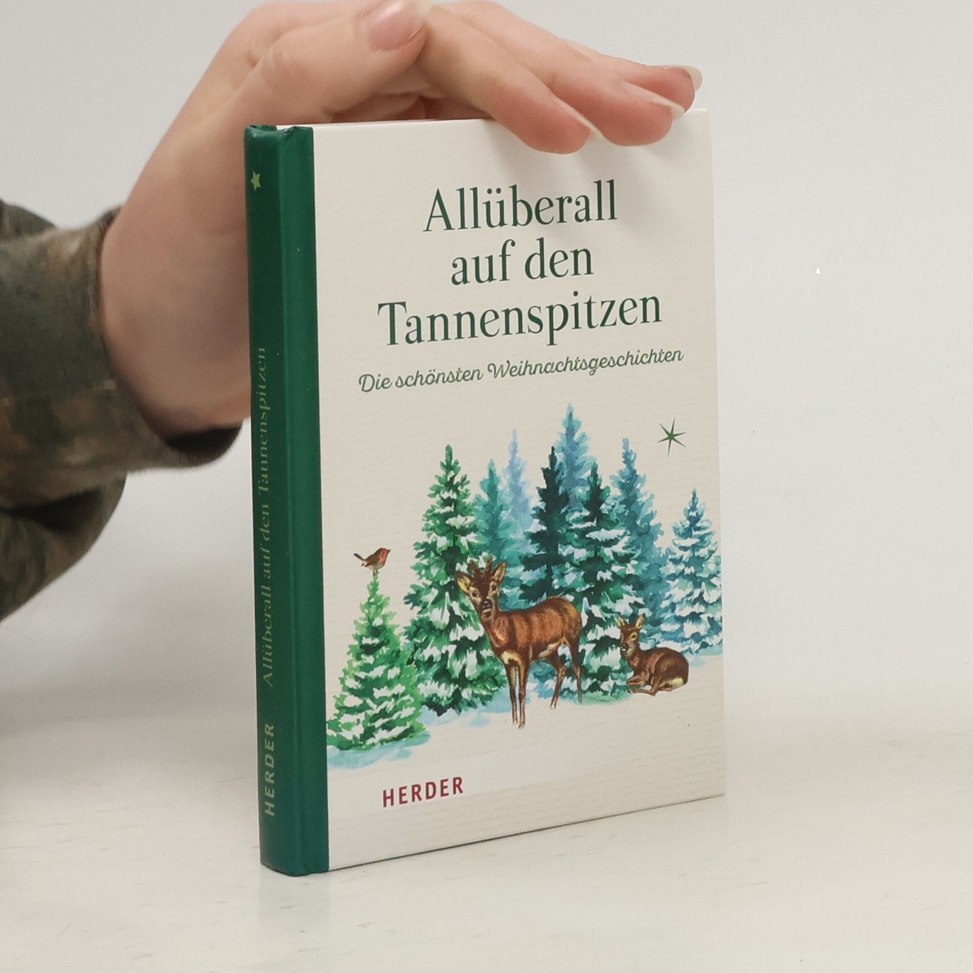 Autorenkollektiv Allüberall auf den Tannenspitzen