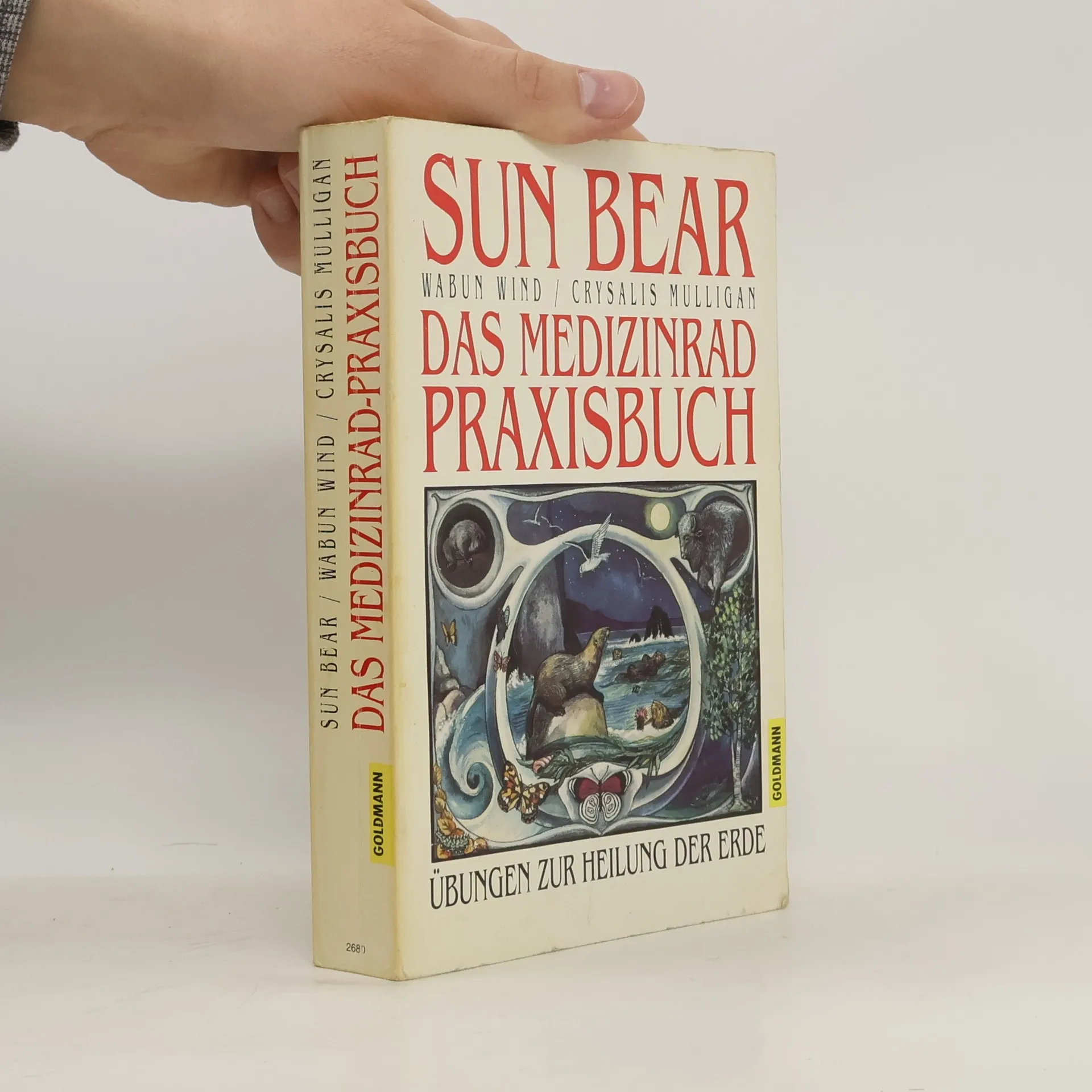 Das Medizinrad Praxisbuch. Übungen zur Heilung der Erde. | Buch | Sun Bear