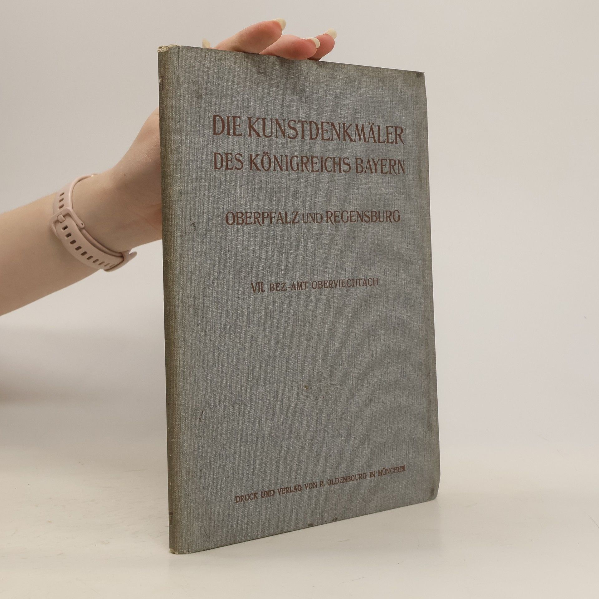 Georg Hager Die Kunstdenkmäler des Königreichs Bayern II. Oberpfalz und Regensburg