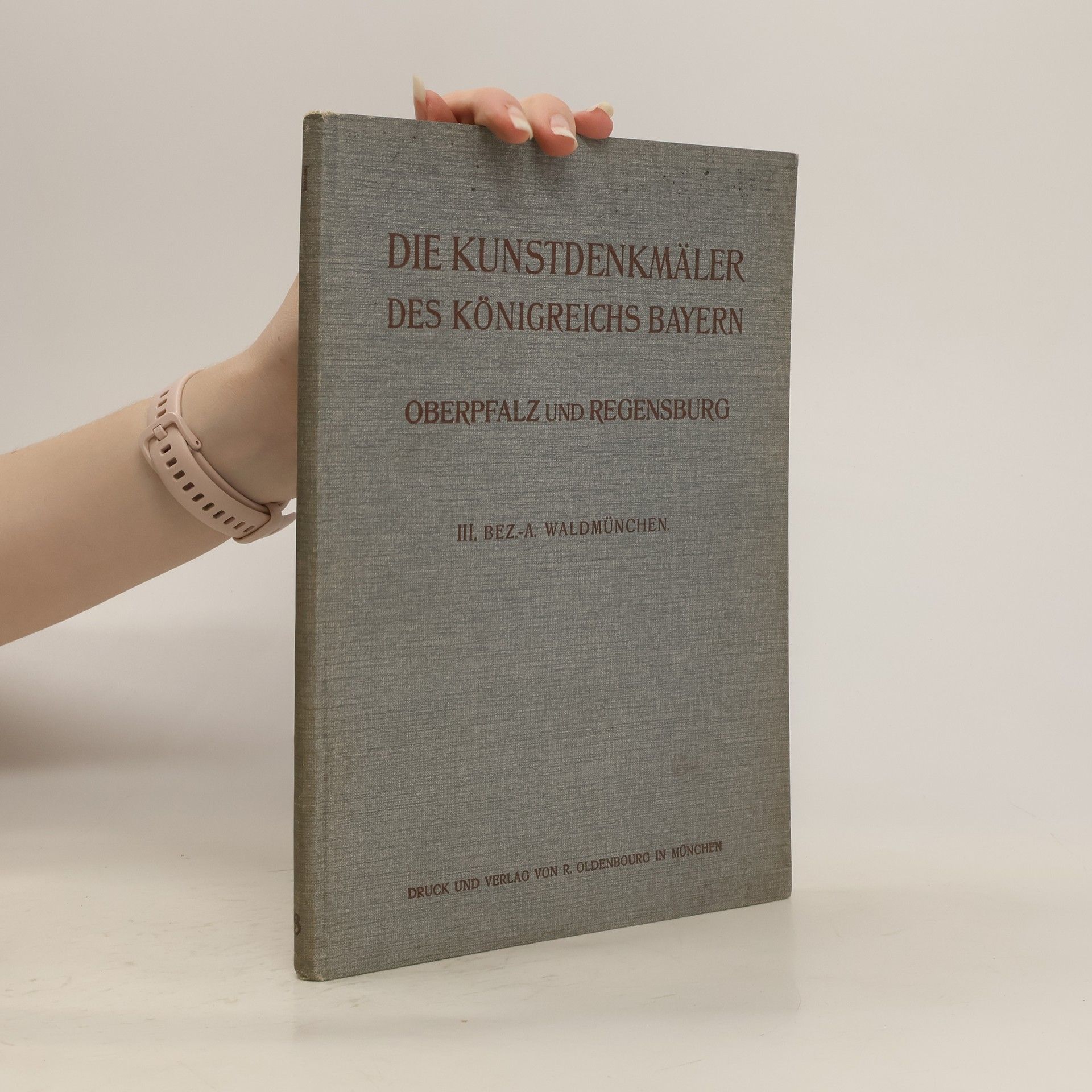 Georg Hager Die Kunstdenkmäler des Königreichs Bayern II. Oberpfalz und Regensburg