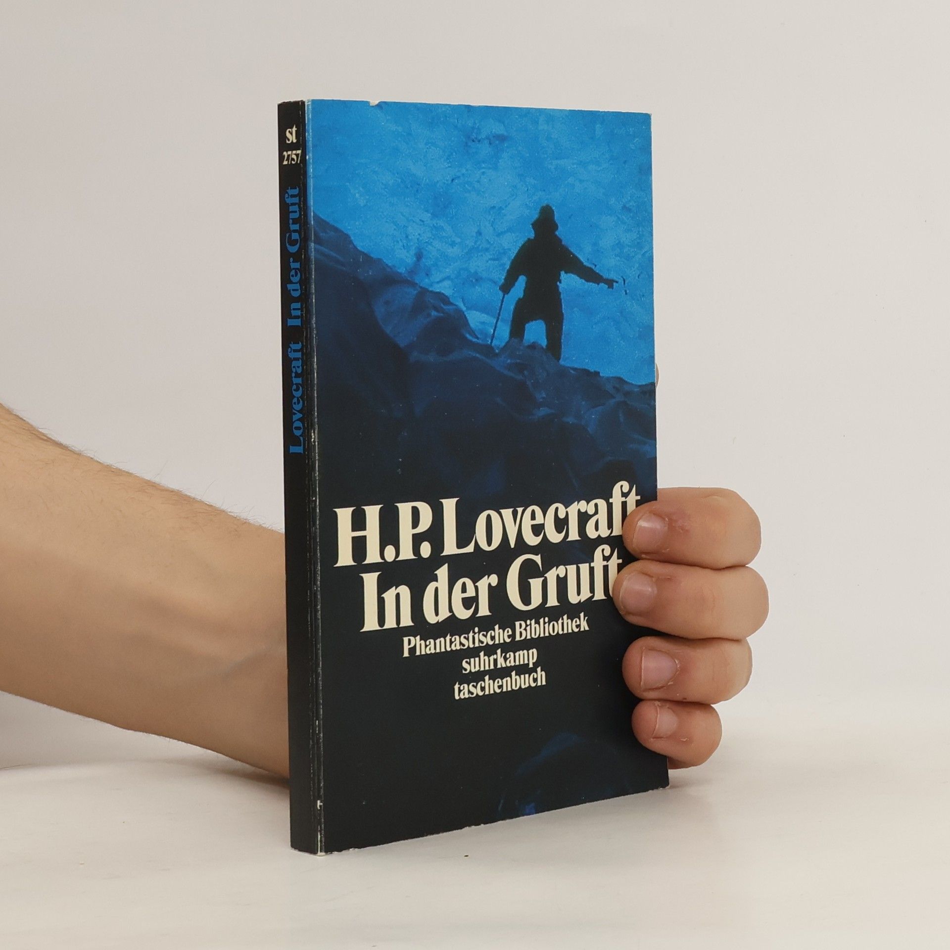 Howard Phillips Lovecraft In der Gruft und andere makabre Erzählungen