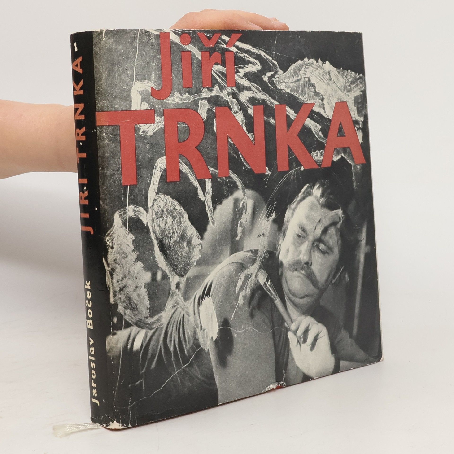 Jaroslav Boček Jiří Trnka: historie díla a jeho tvůrce