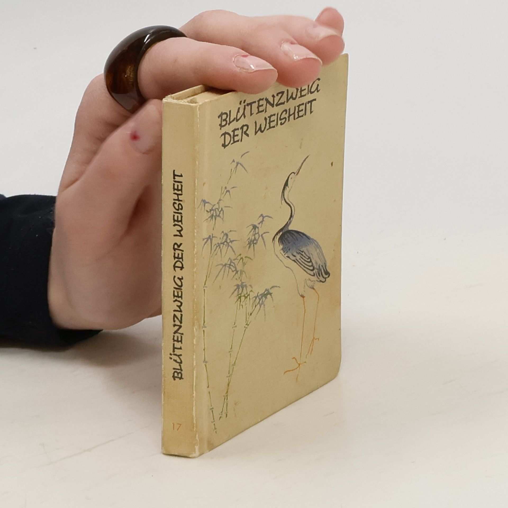 Autorenkollektiv Blütenzweig der Weisheit