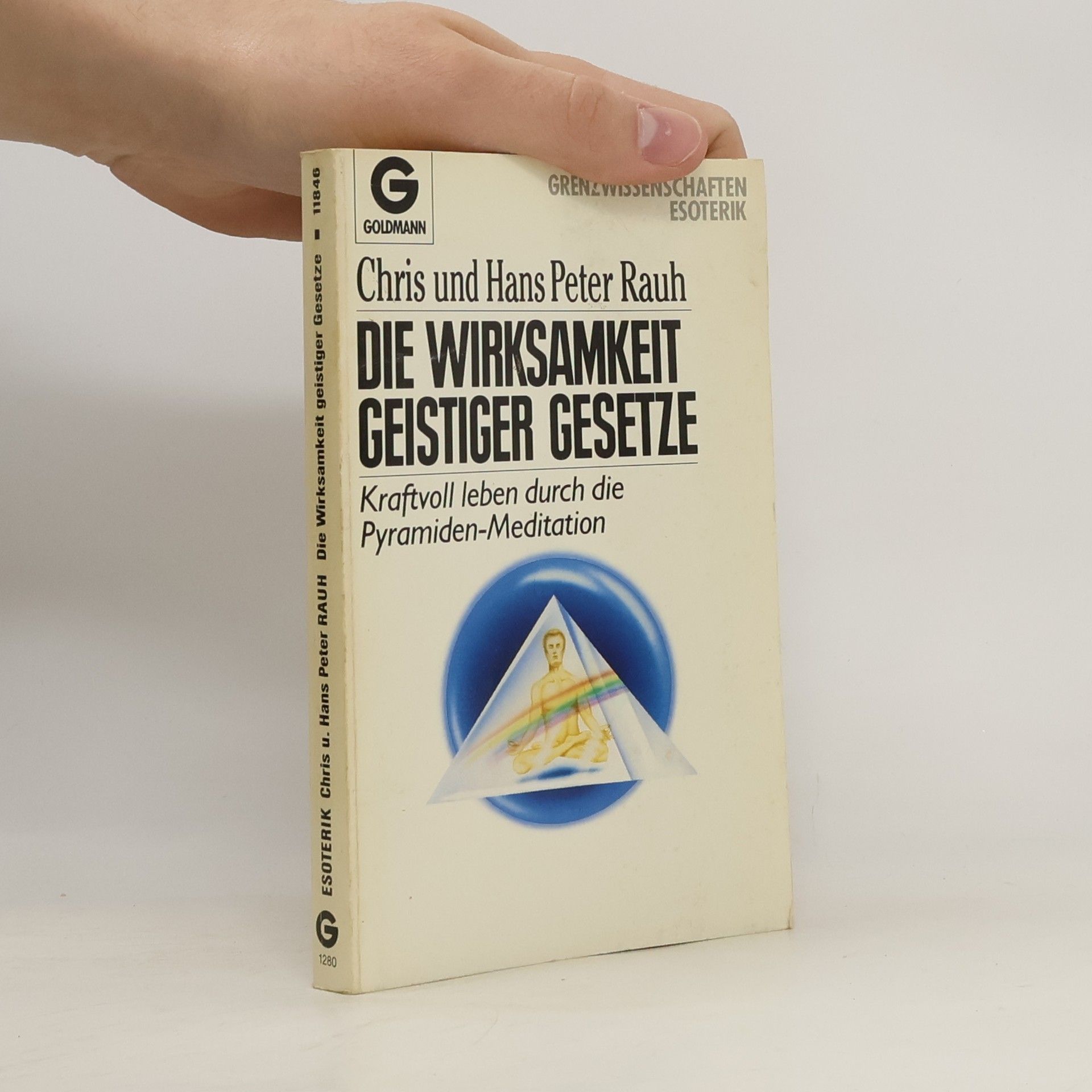 Chris Rauh Die Wirksamkeit geistiger Gesetze