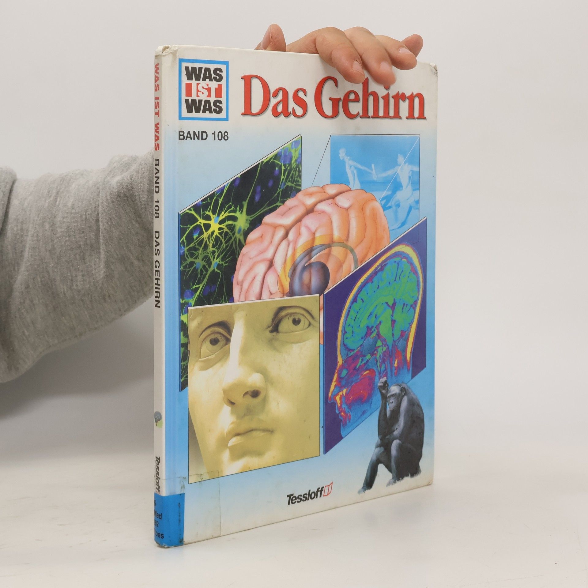 Monika Rößiger Das Gehirn