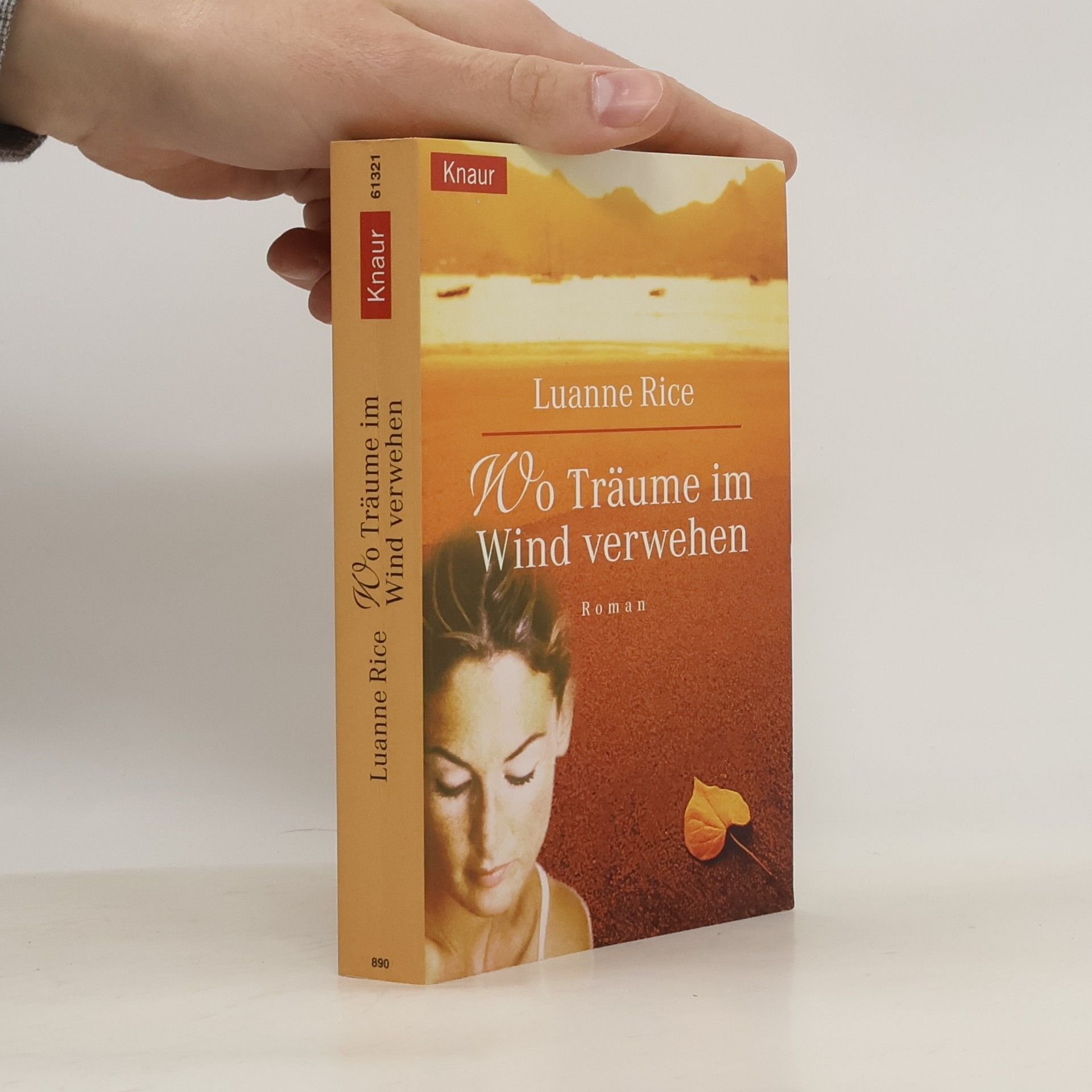 Luanne Rice Wo Träume im Wind verwehen