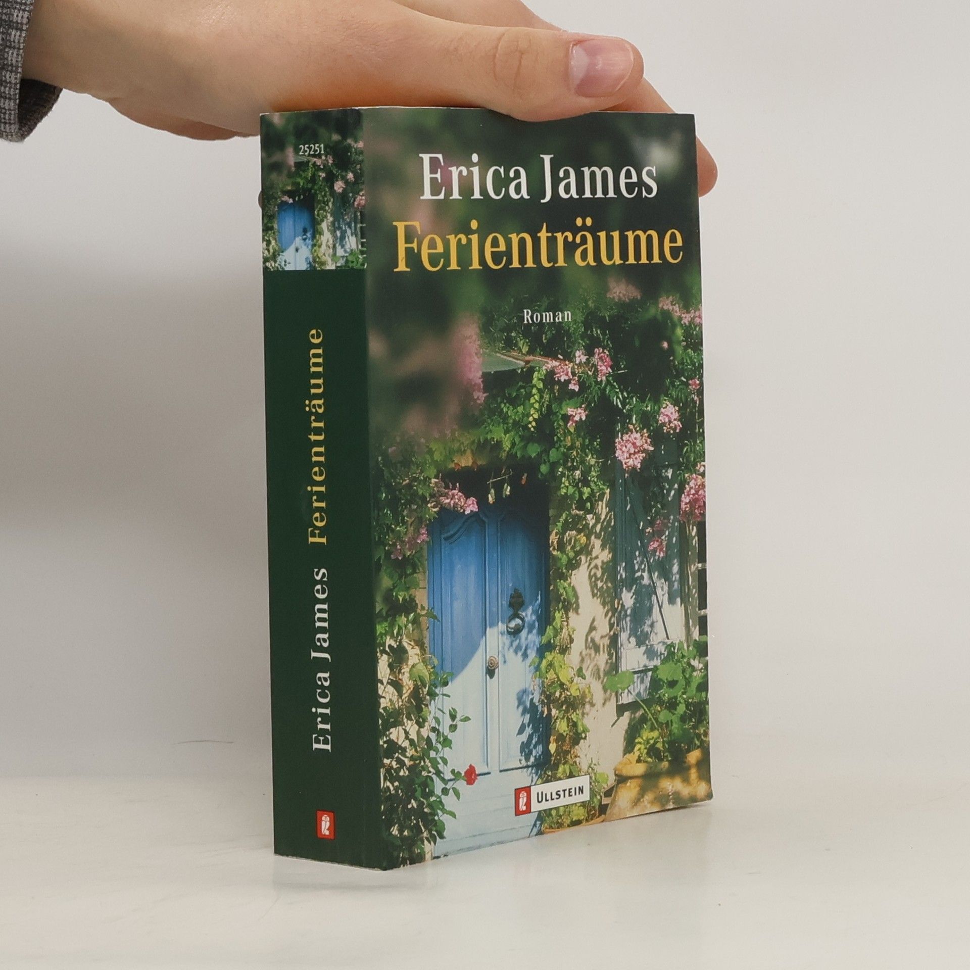 Erica James Ferienträume