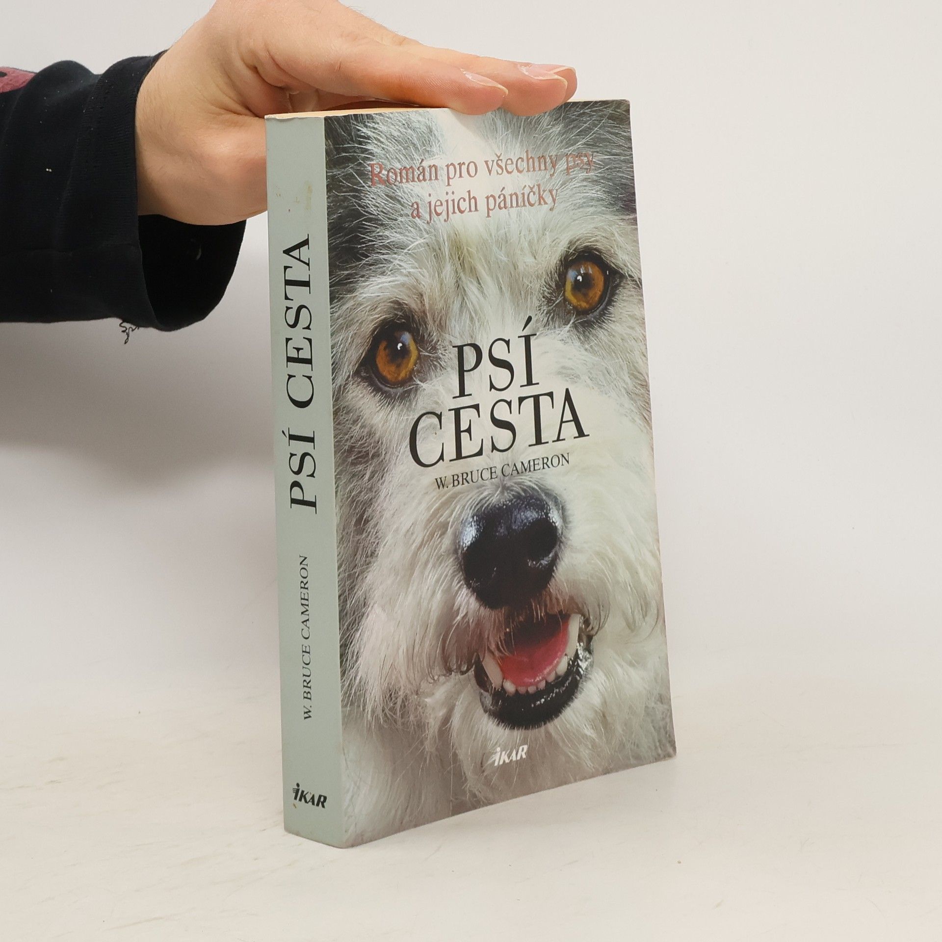 W. Bruce Cameron Psí cesta