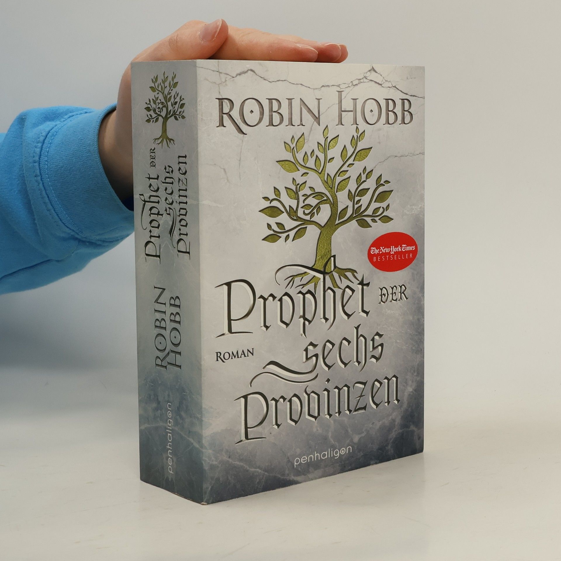 Robin Hobb Prophet der sechs Provinzen