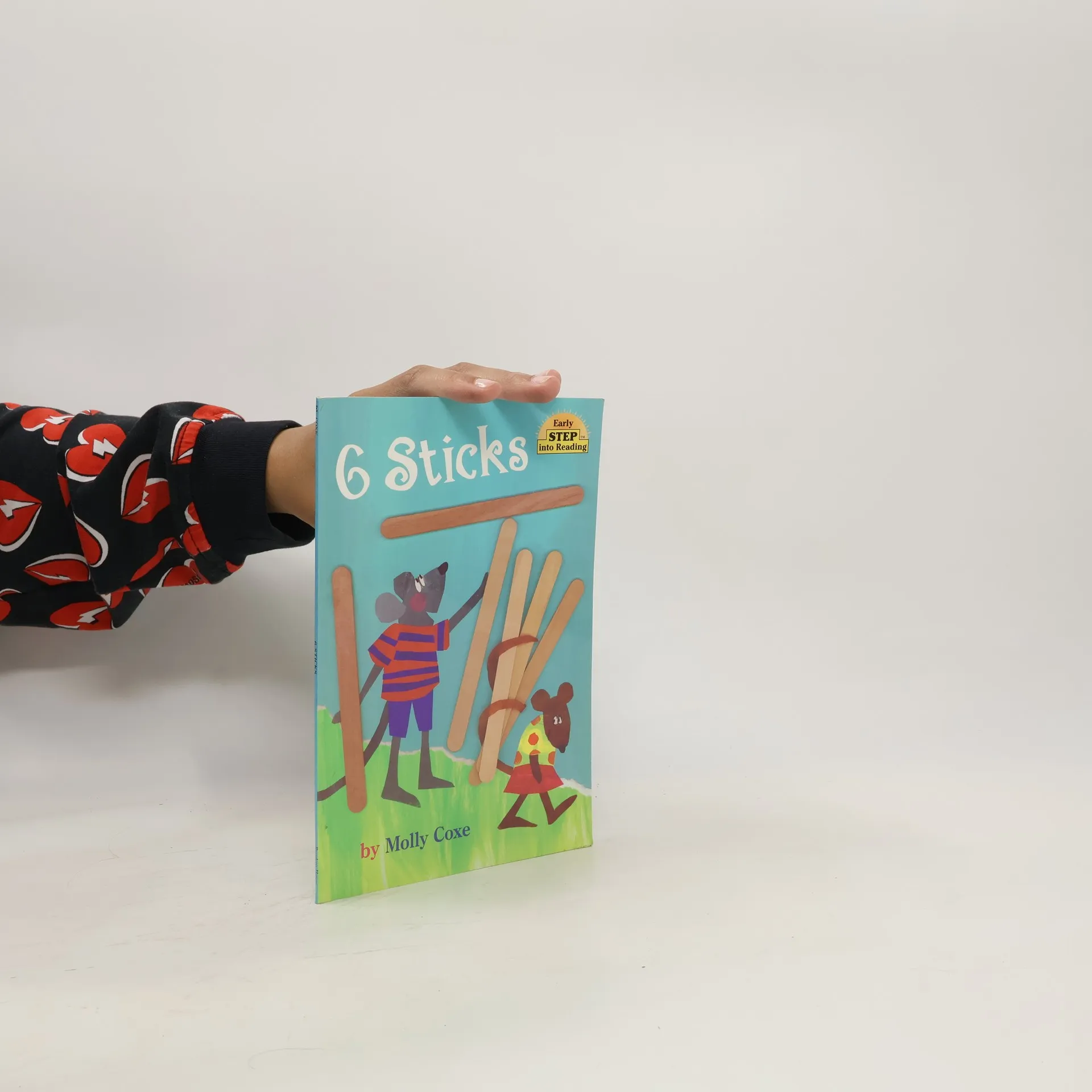 Six Sticks | Book | Paperback | Molly Coxe | EN
