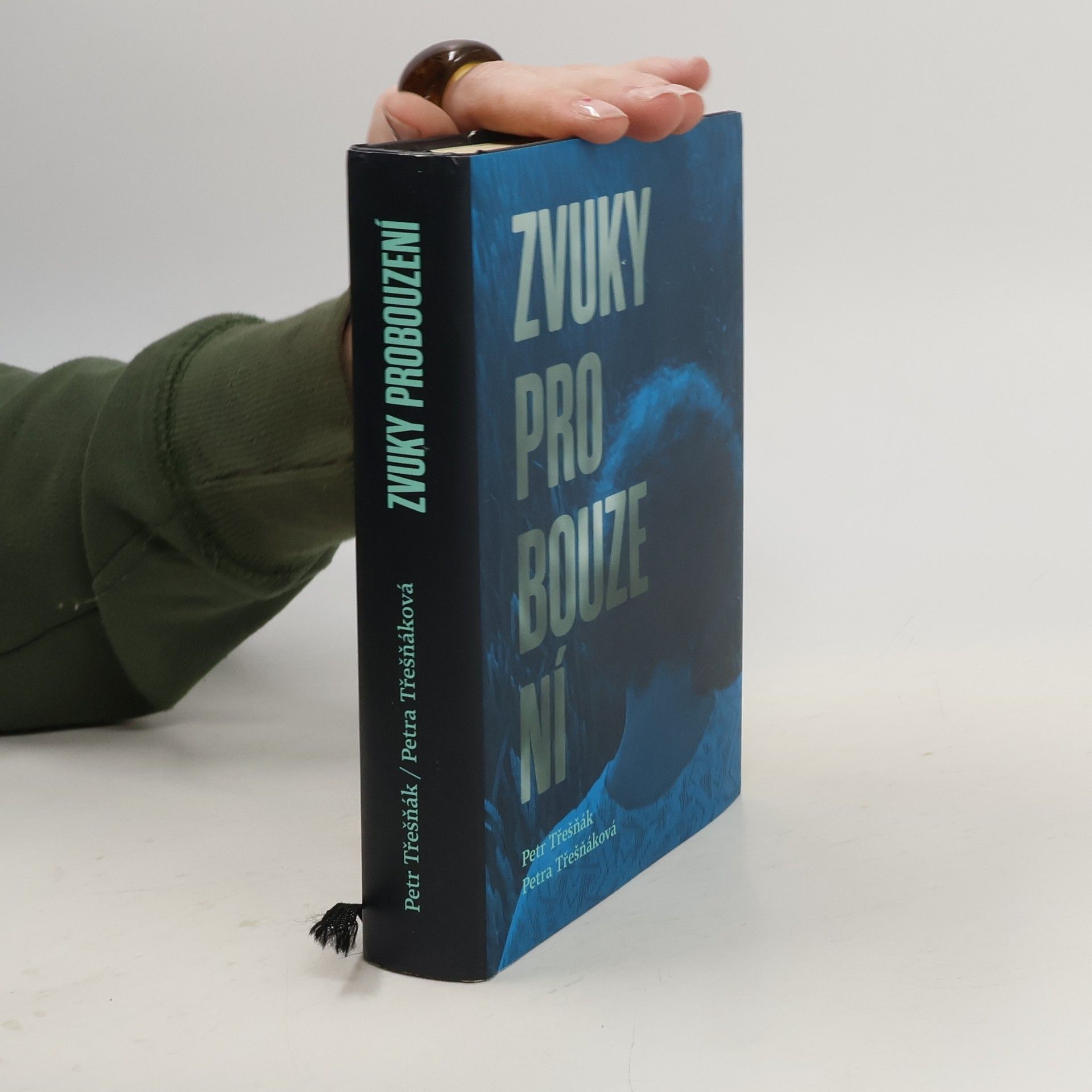 Petr Třešňák Zvuky probouzení