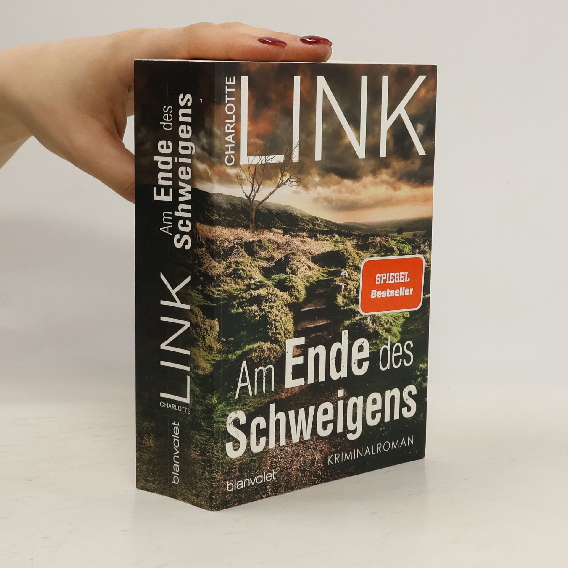 Charlotte Link Am Ende des Schweigens