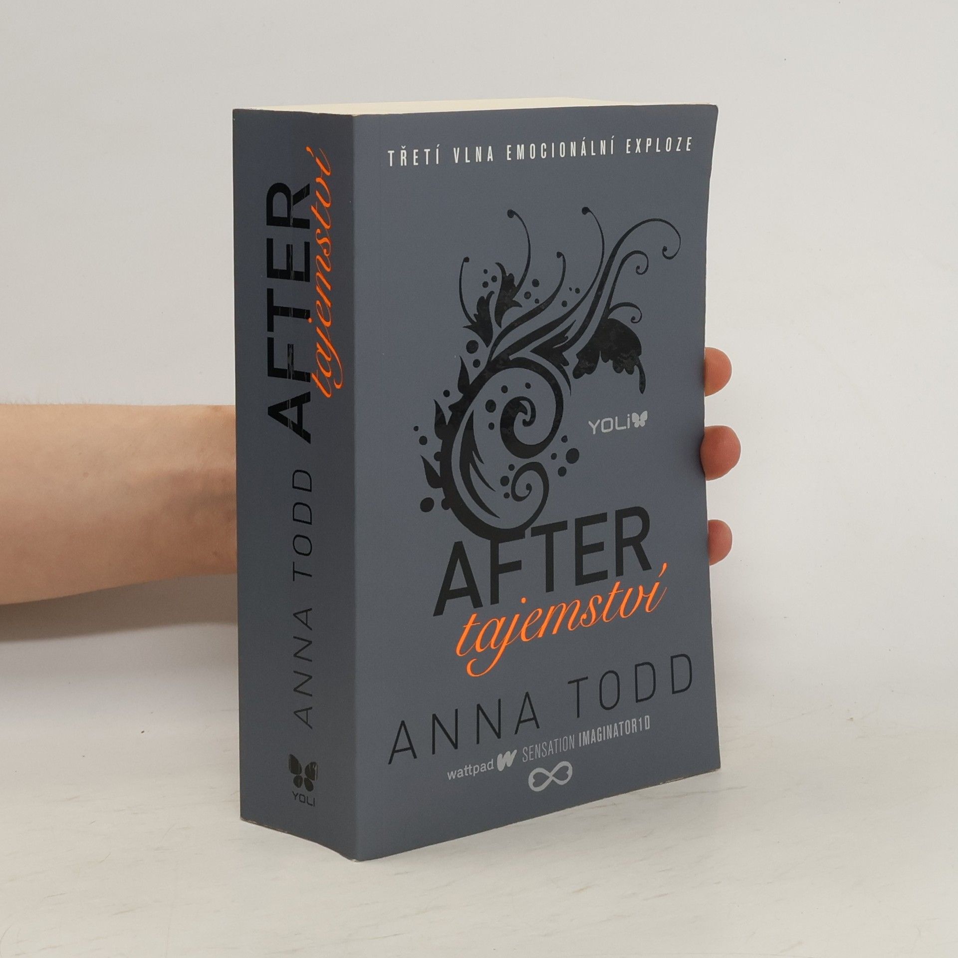 Anna Todd After. Tajemství