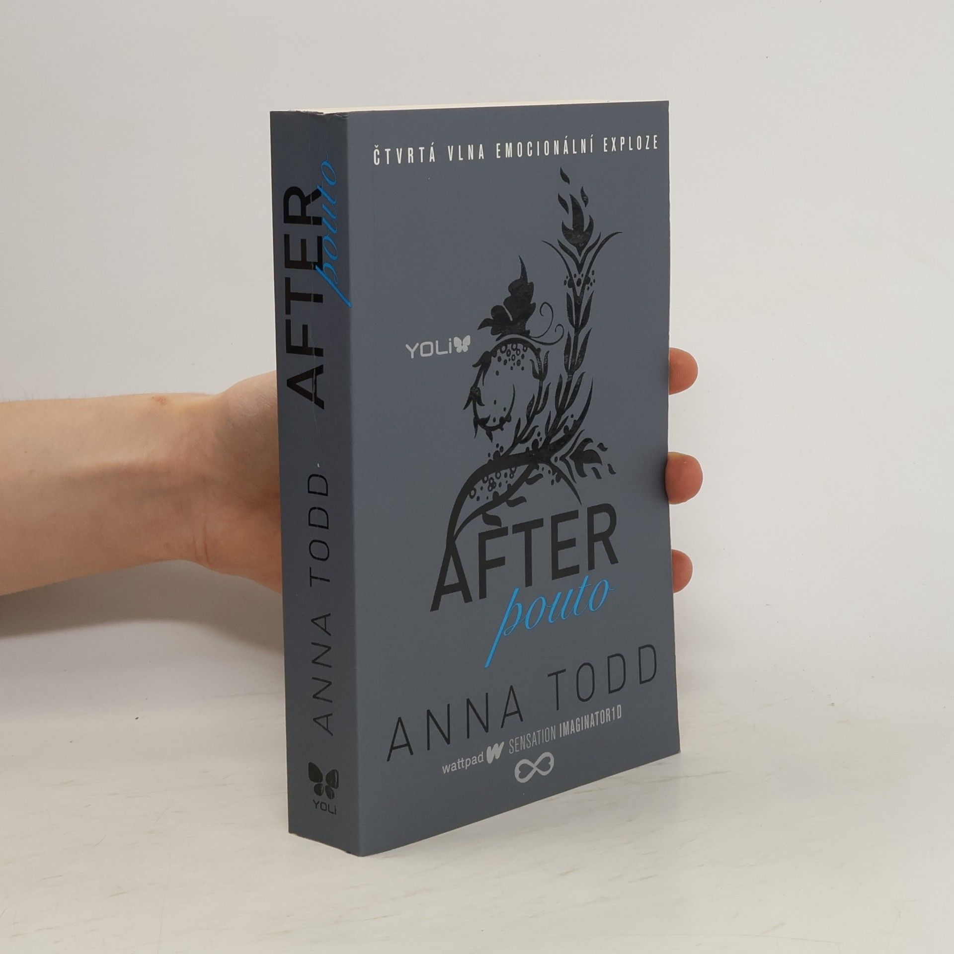 Anna Todd After. Pouto