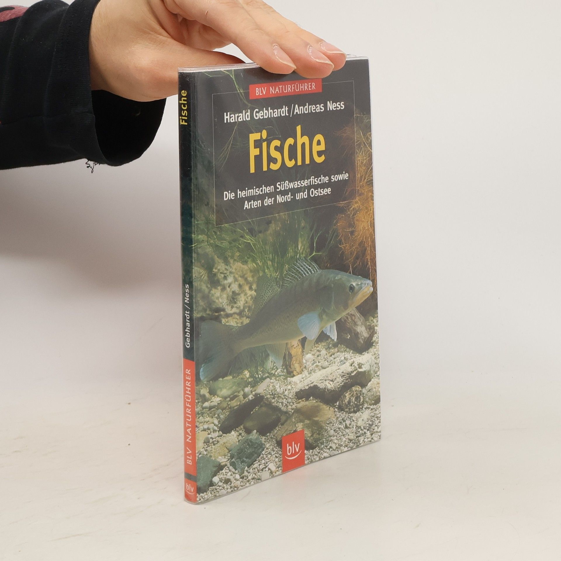 Harald Gebhardt Fische