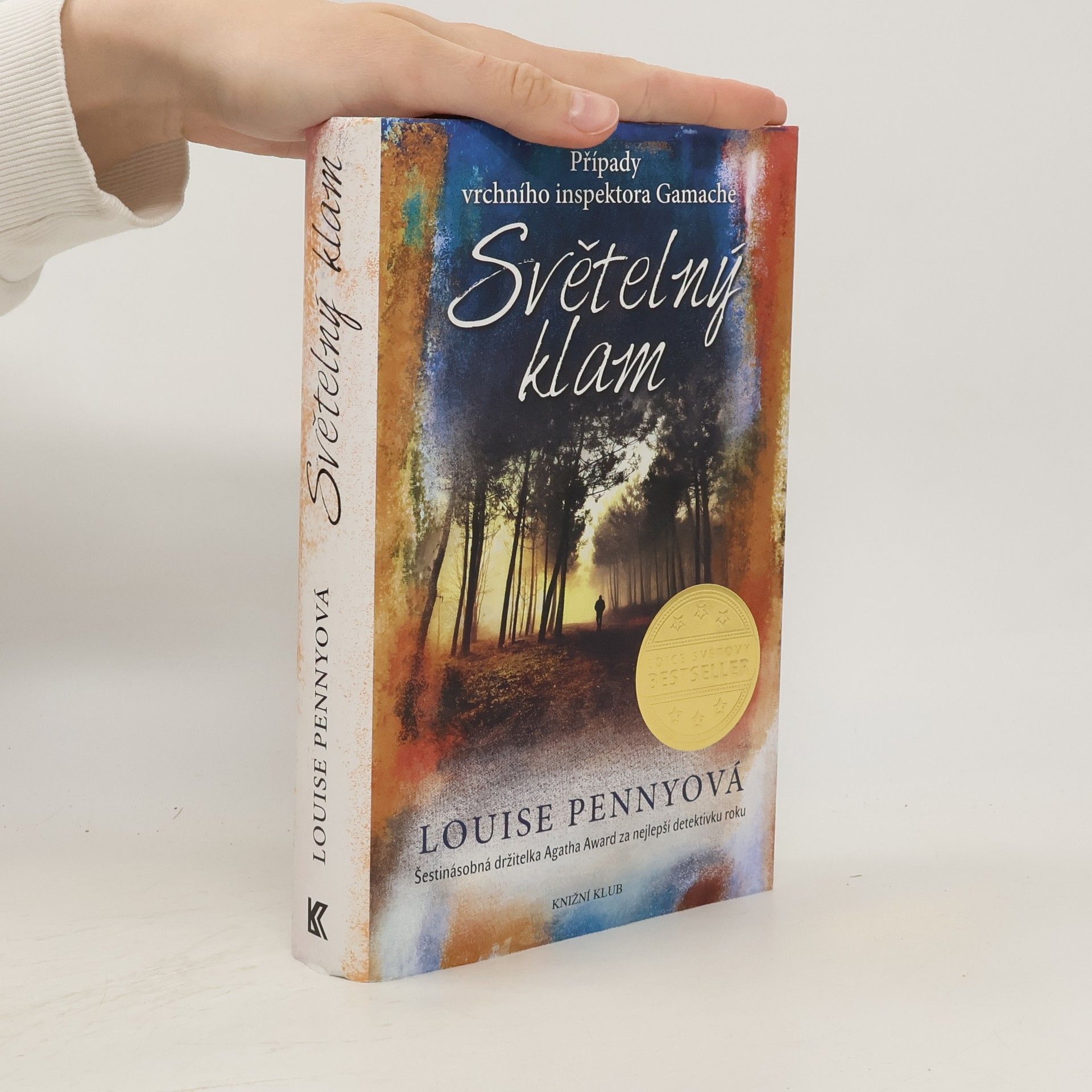 Louise Penny Světelný klam