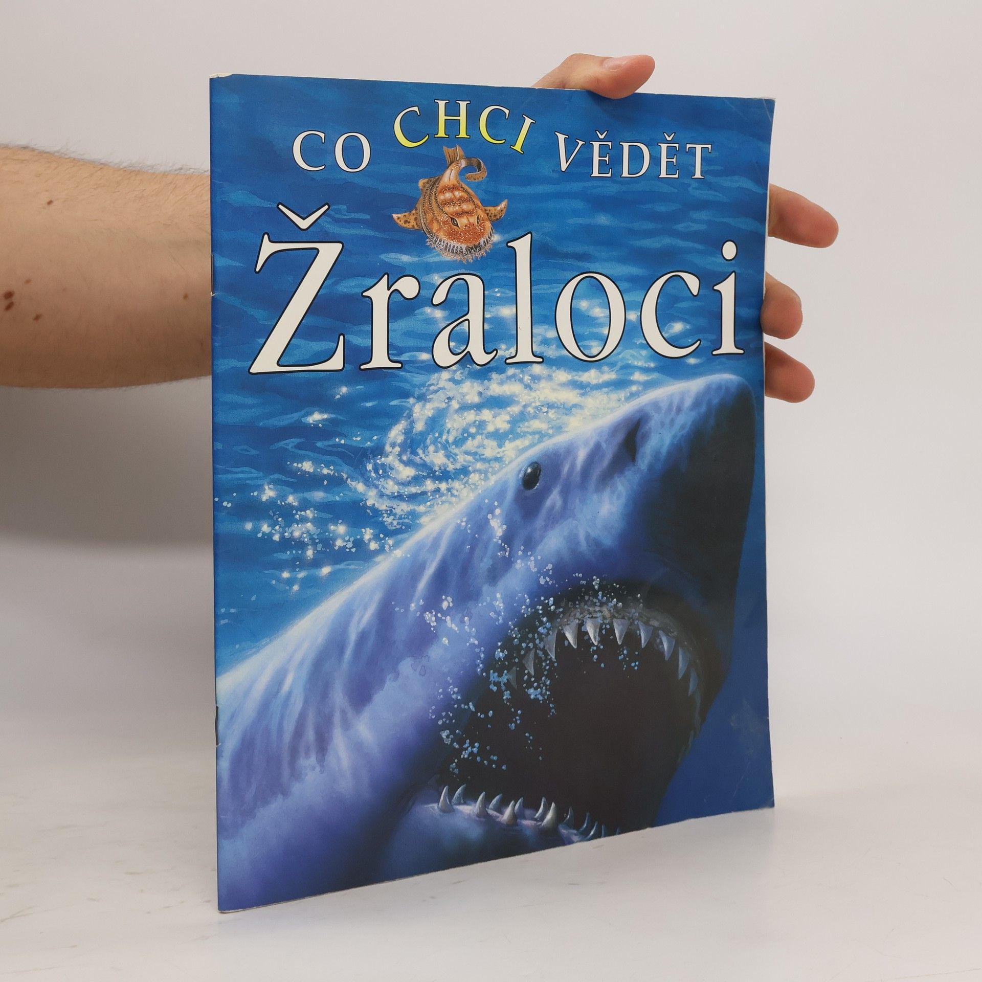 Claire Llewellyn Co chci vědět: Žraloci